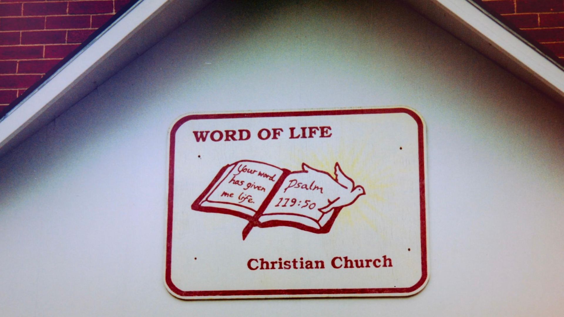 How I Escaped My Cult background