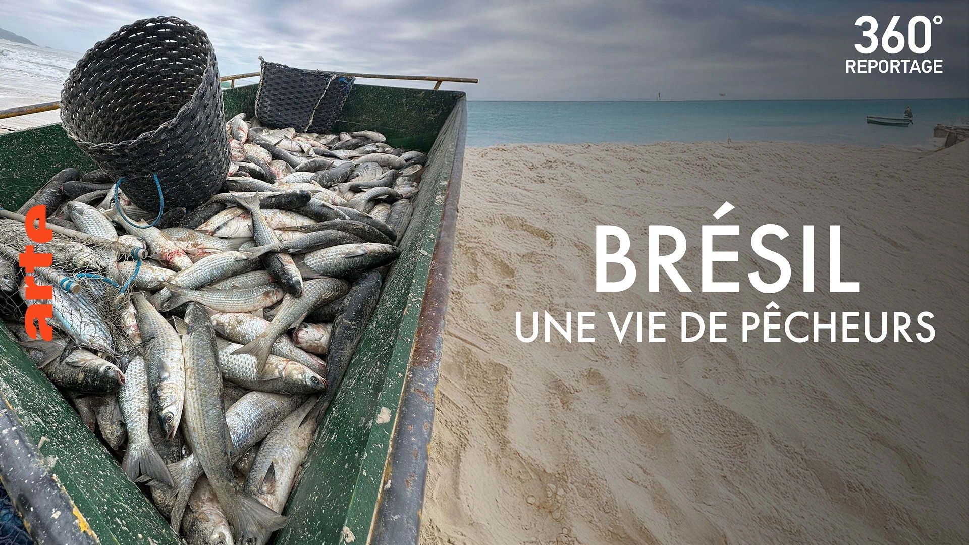 360° - Die GEO-Reportage background