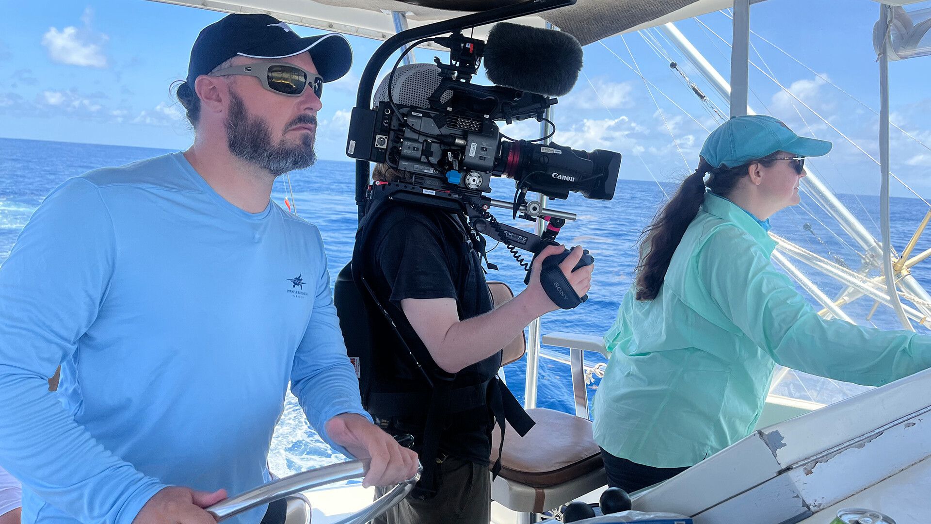 Incredible Animal Journeys background