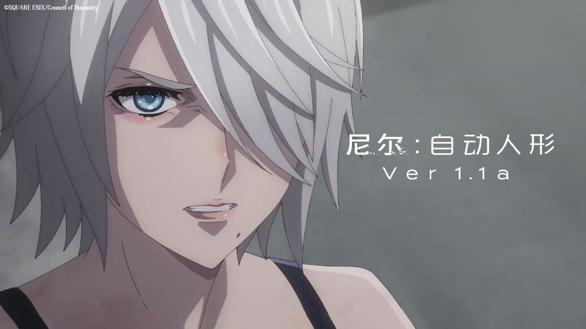 Nier: Automata Ver1.1a background