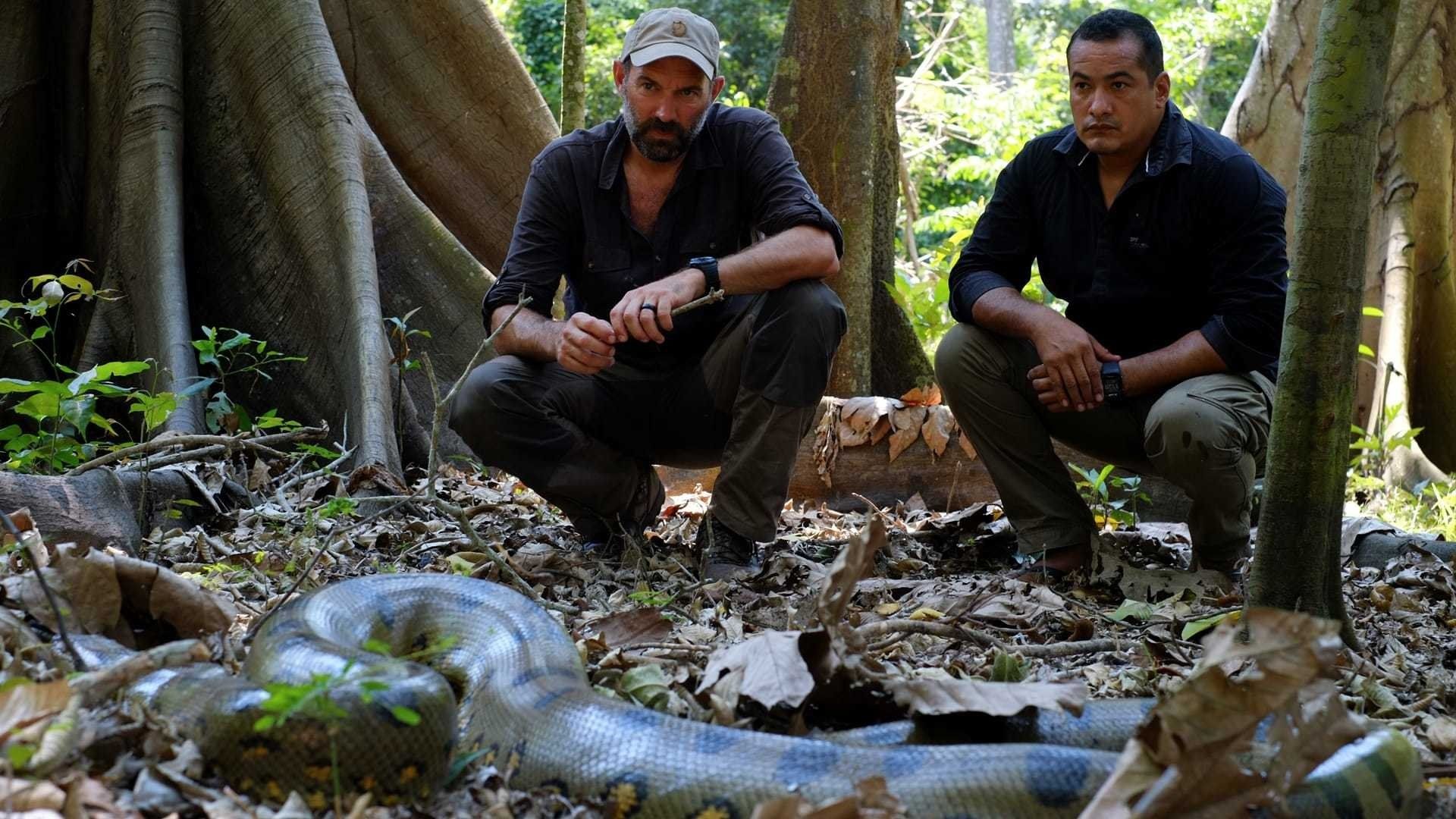 Expedition Mungo background