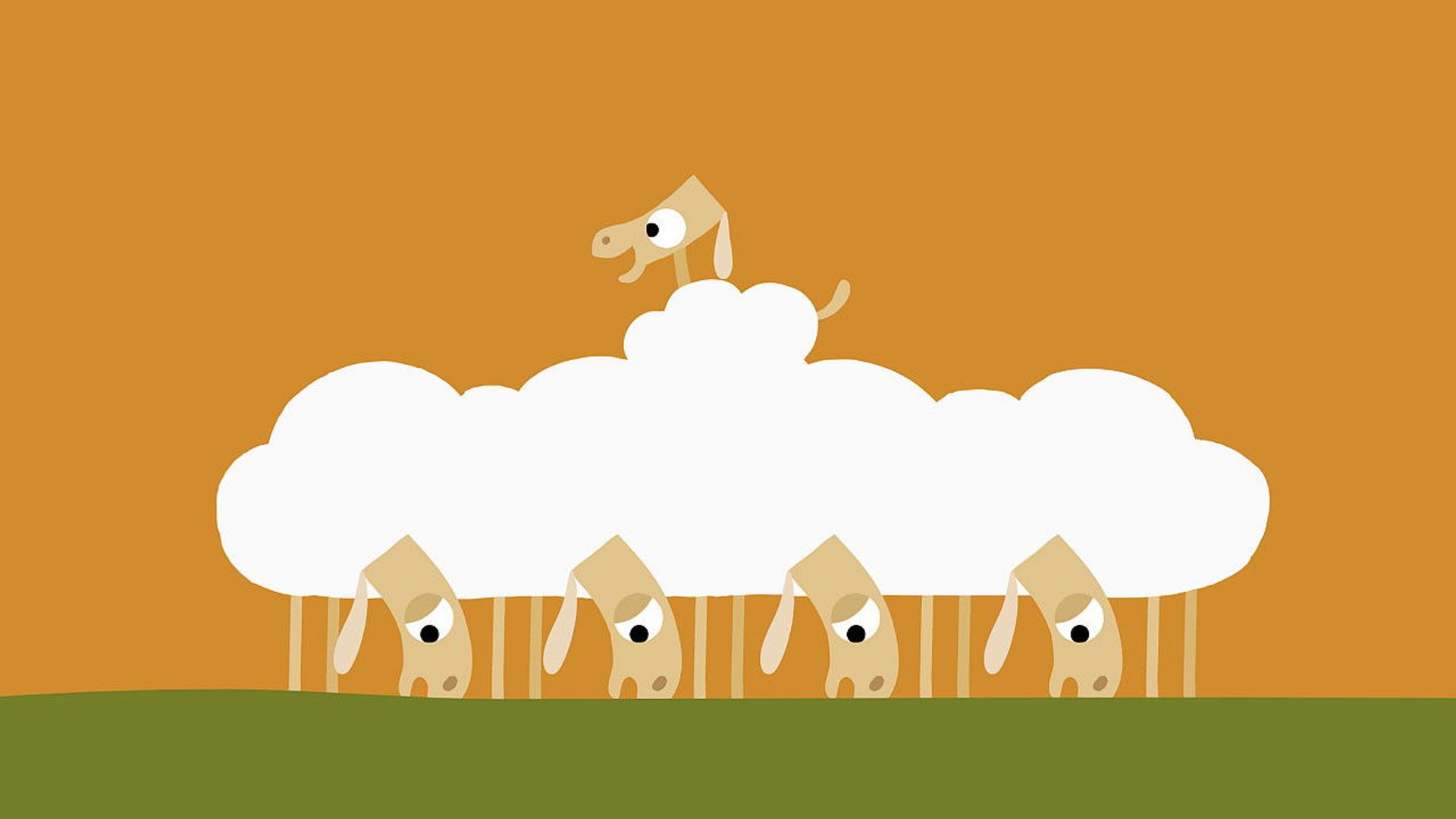 Animanimals background