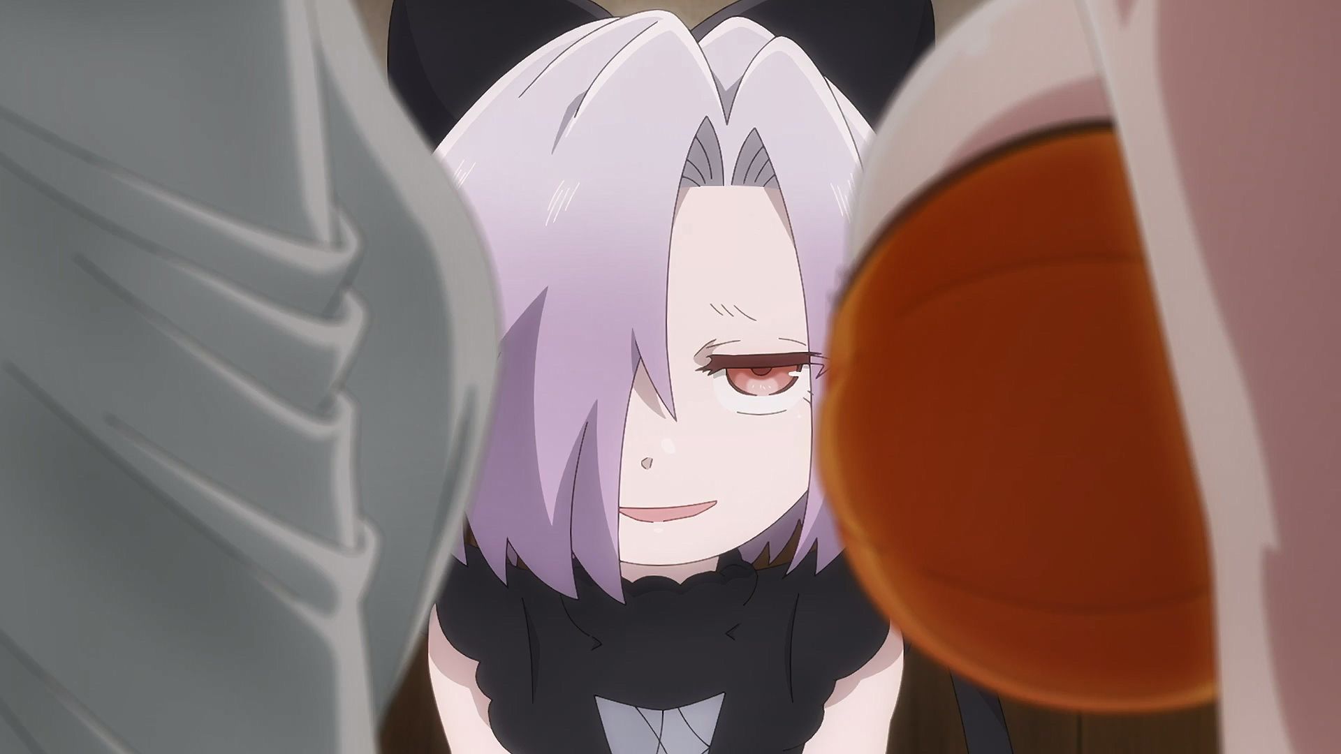 The Shy Hero and the Assassin Princesses background