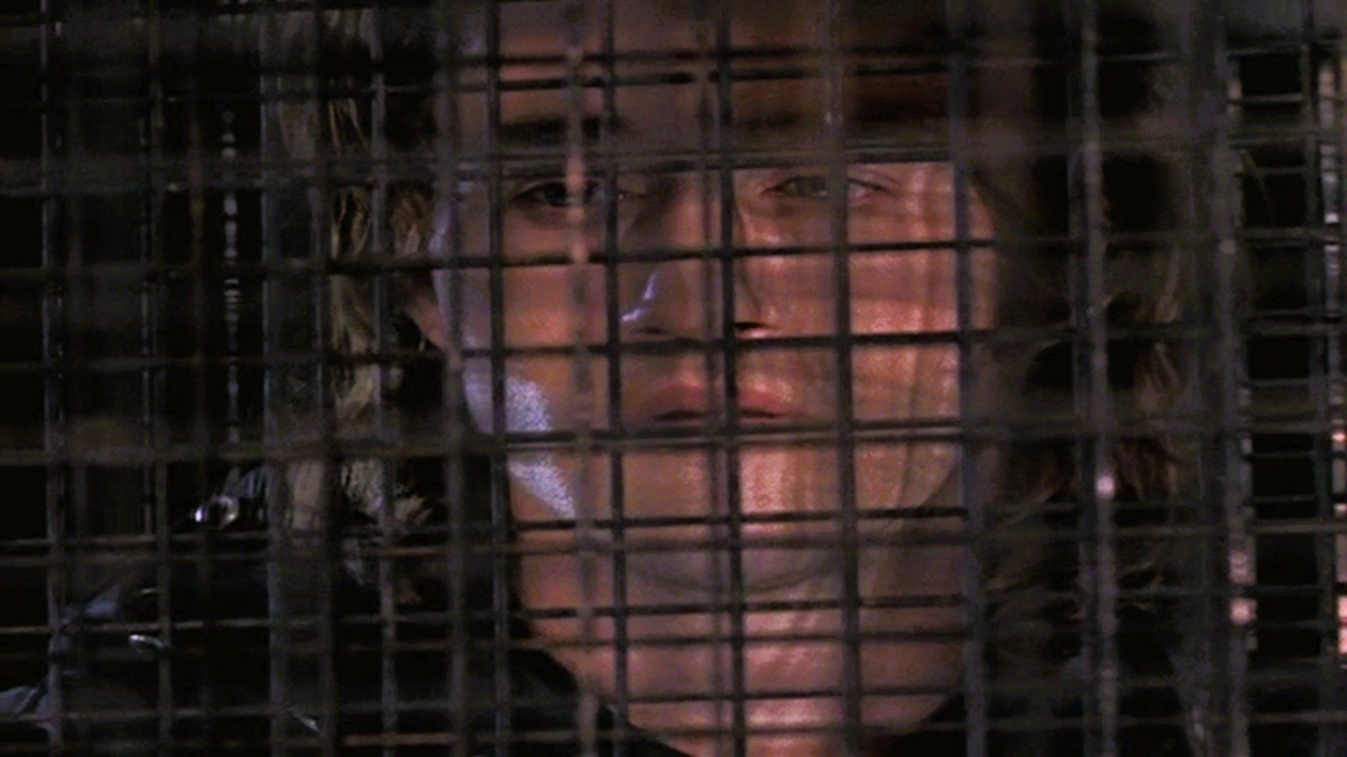 La Femme Nikita background