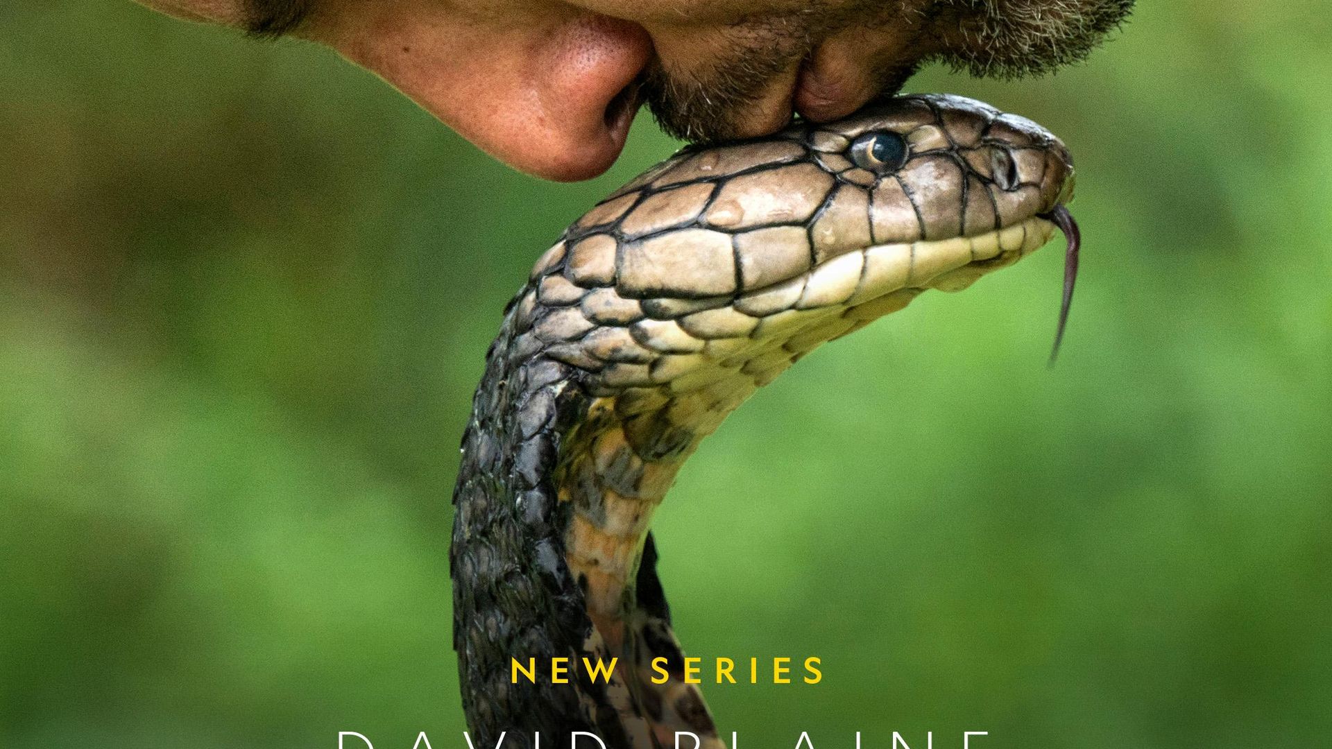 David Blaine: Do Not Attempt background