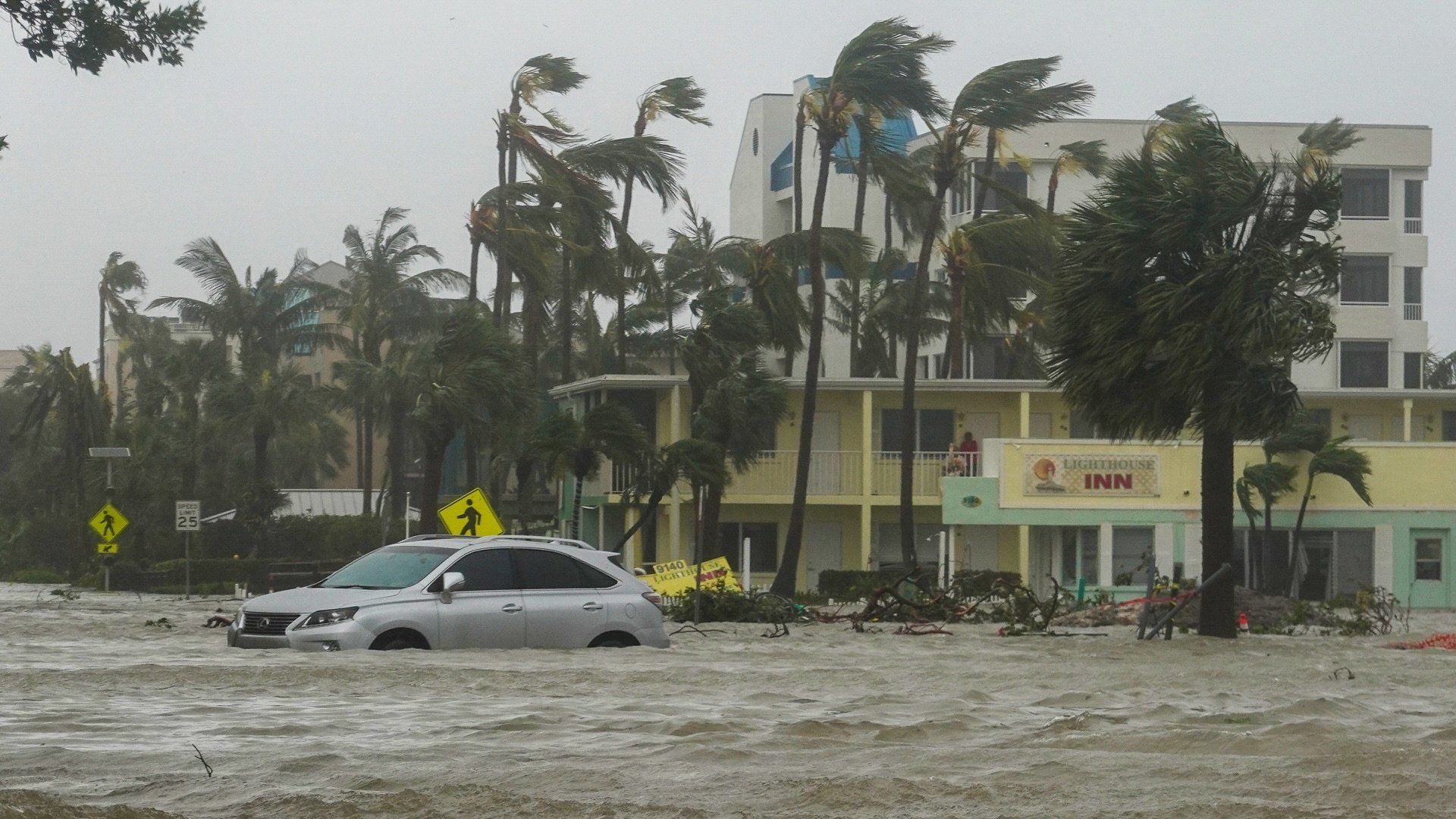 In the Eye of the Storm background