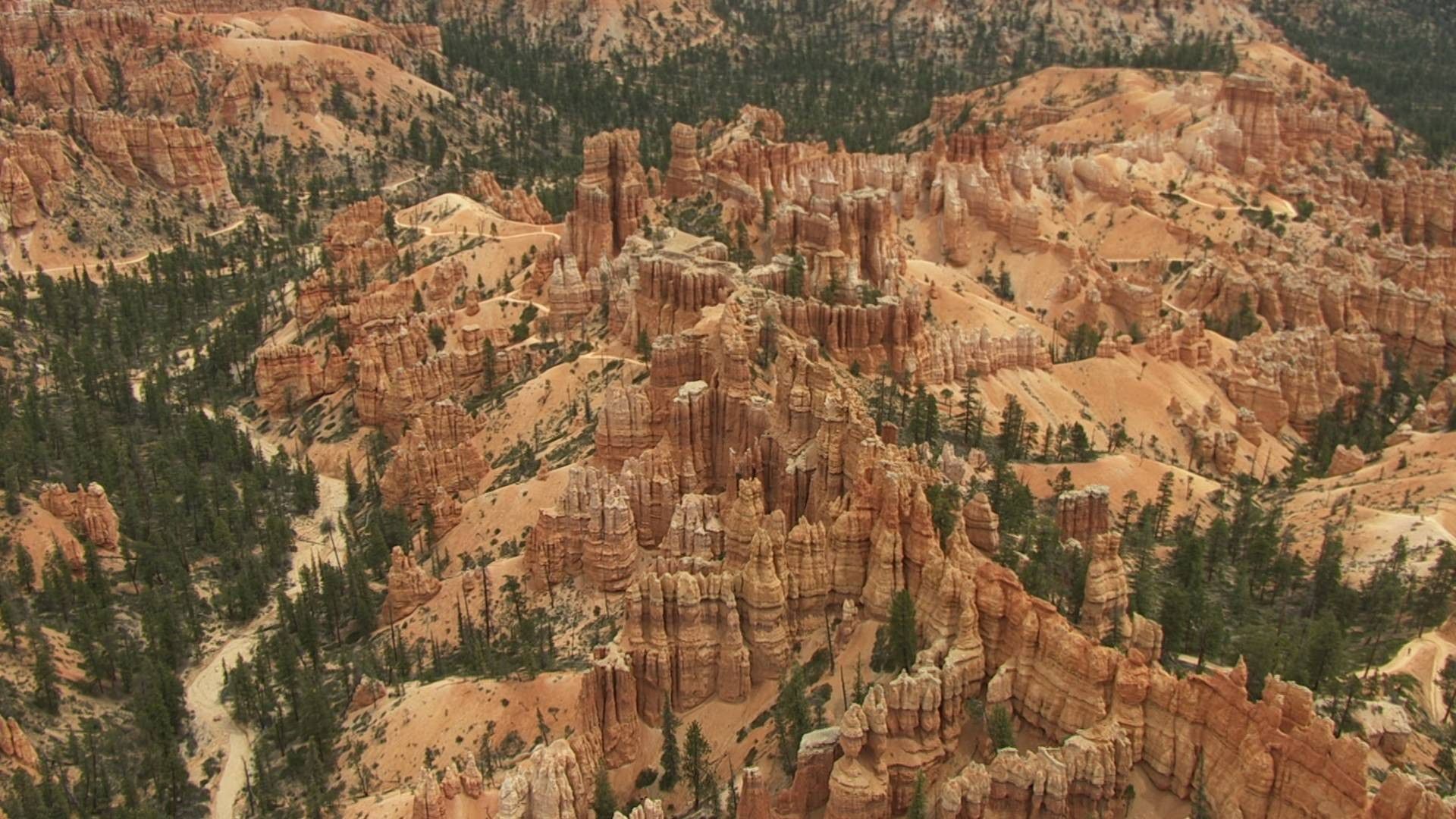 Aerial Adventures background