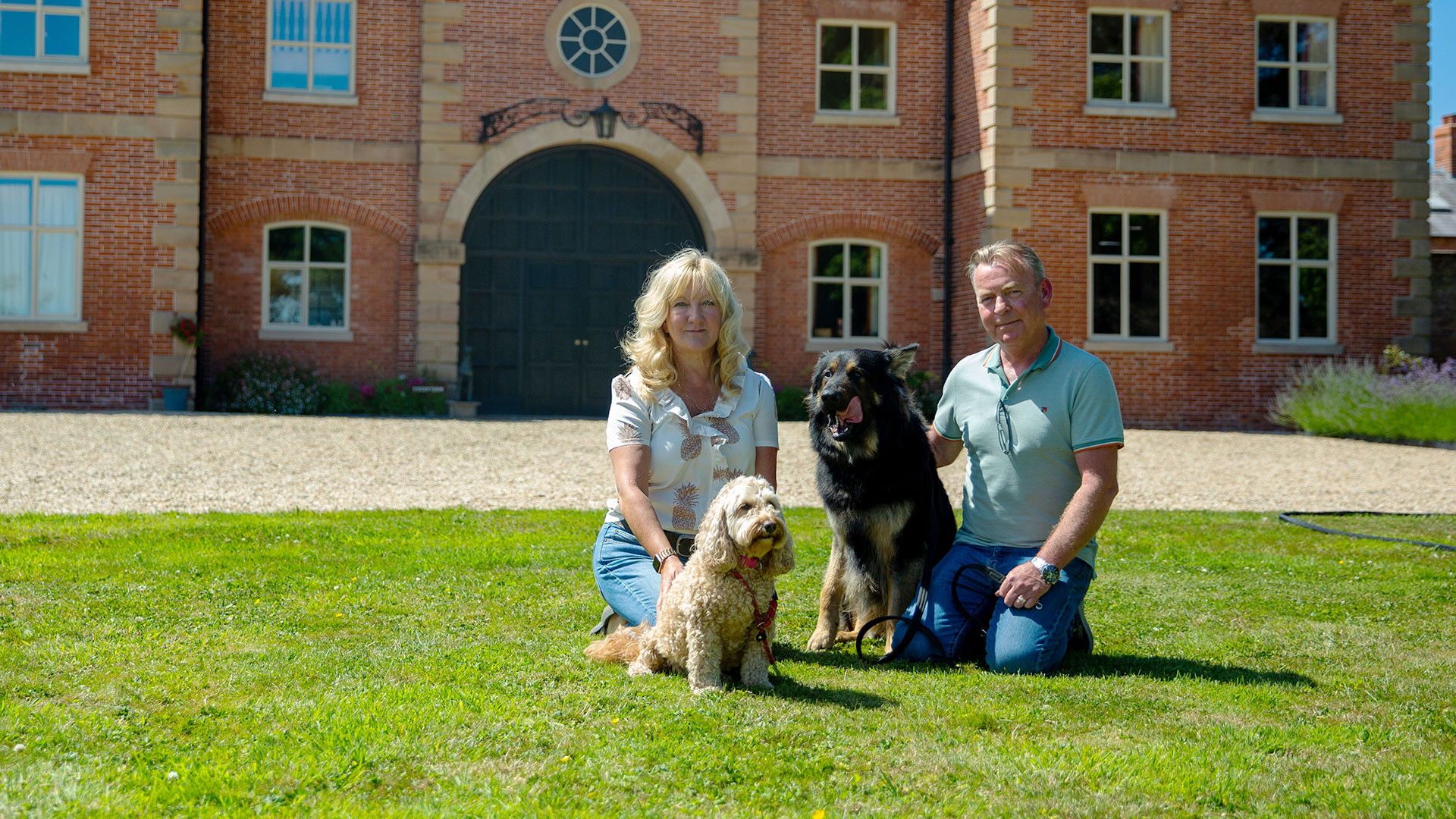 The Dog Academy background