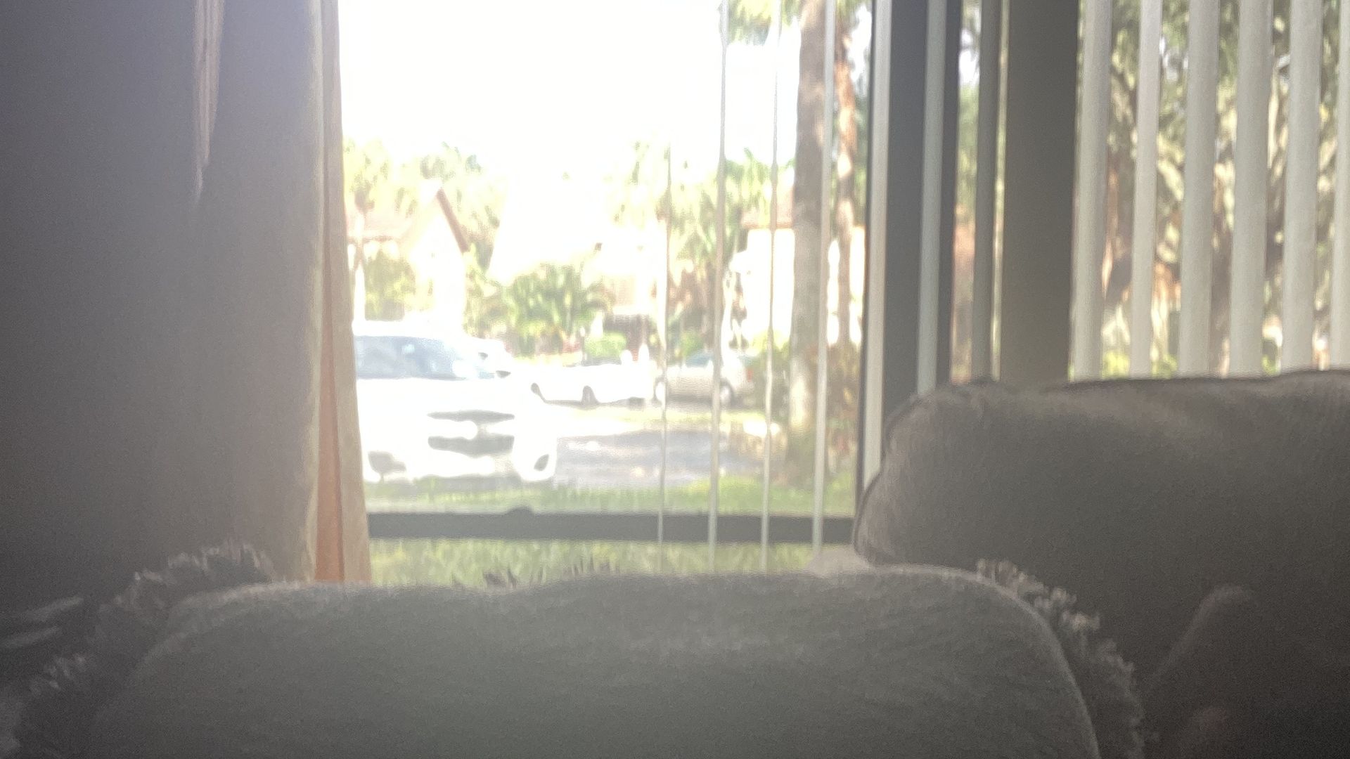 Carters Get Rich background