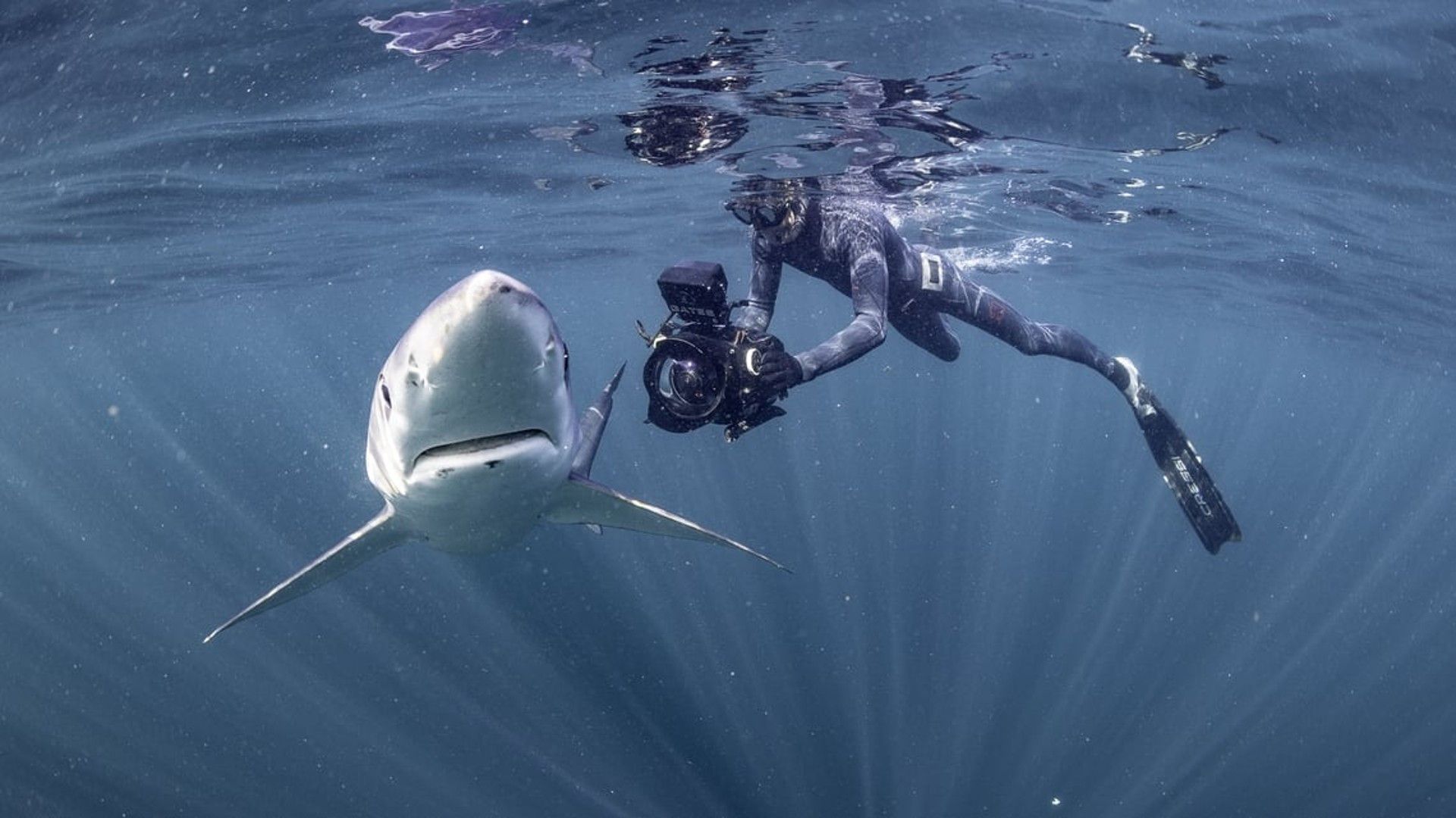 North Atlantic: The Dark Ocean background
