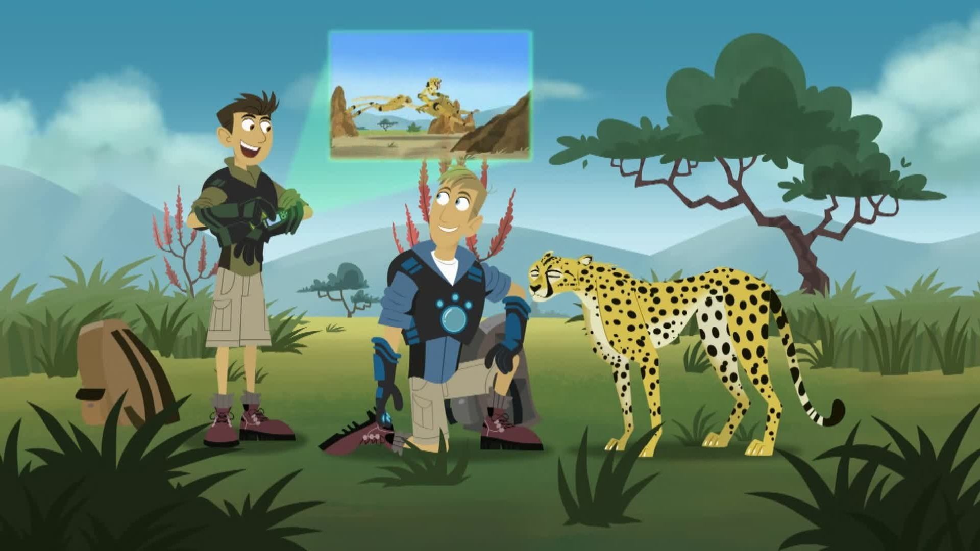 Wild Kratts background