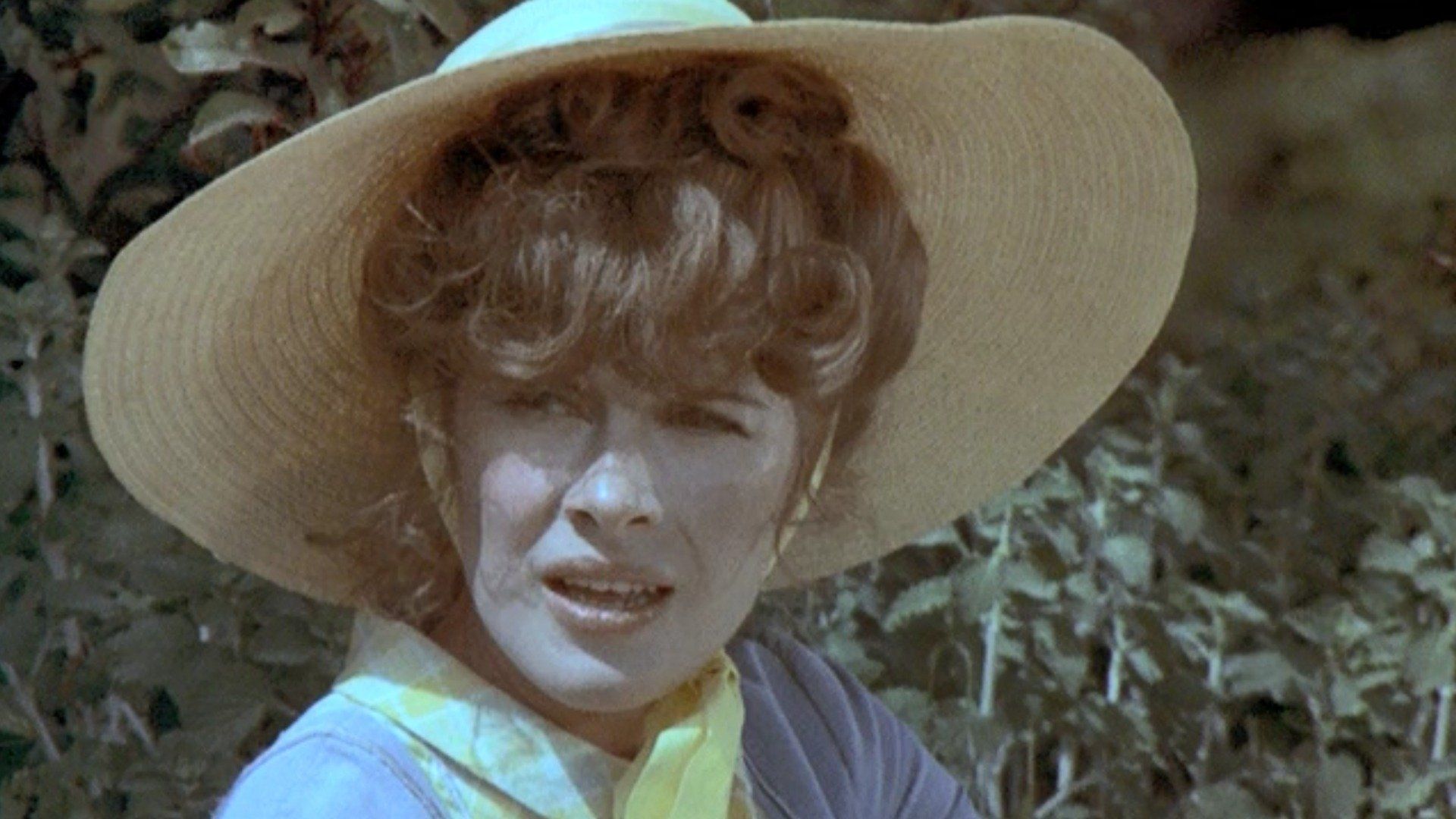 Alias Smith and Jones background