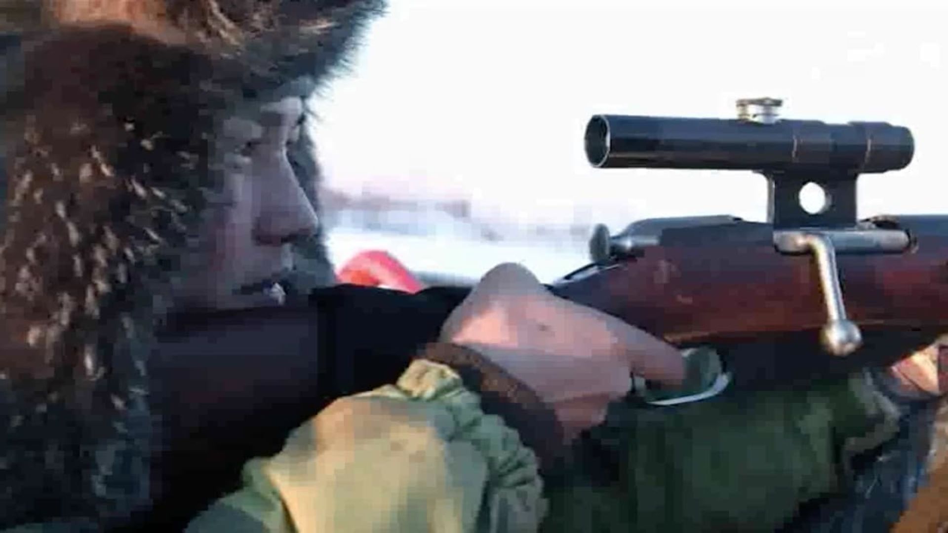 Life Below Zero background