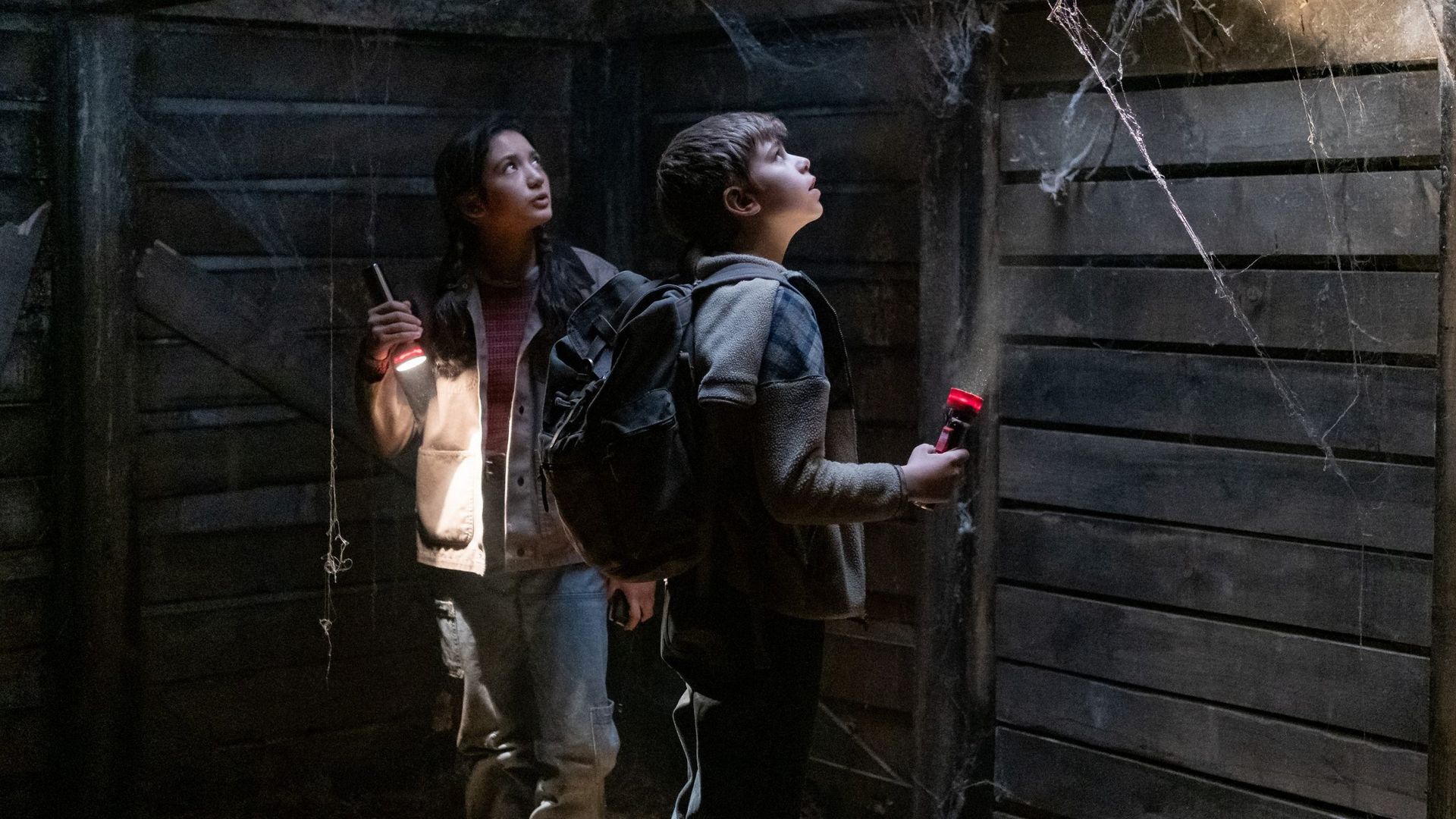 The Hardy Boys background
