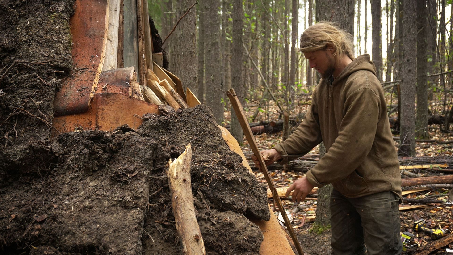 100 Days Wild background