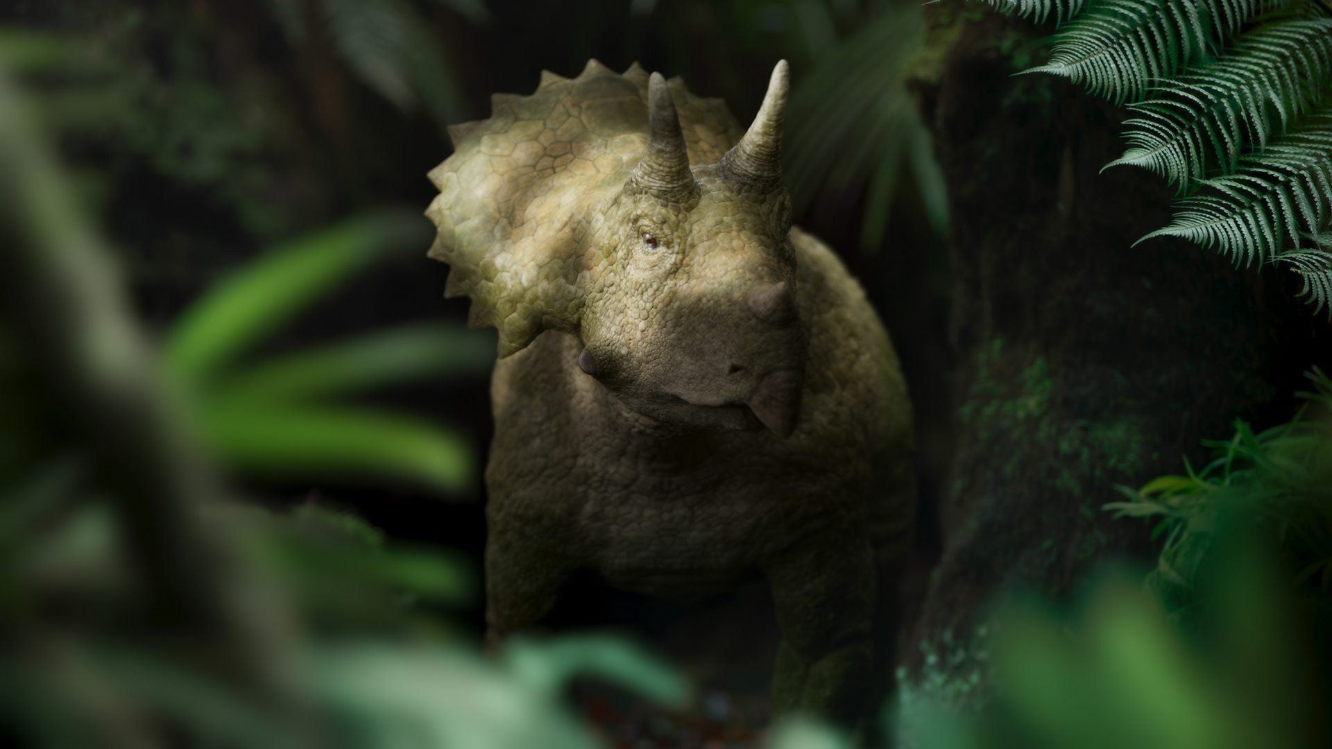Walking with Dinosaurs background