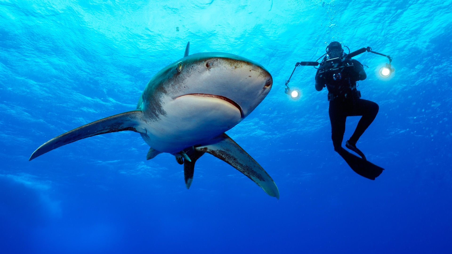 Mission Critical background