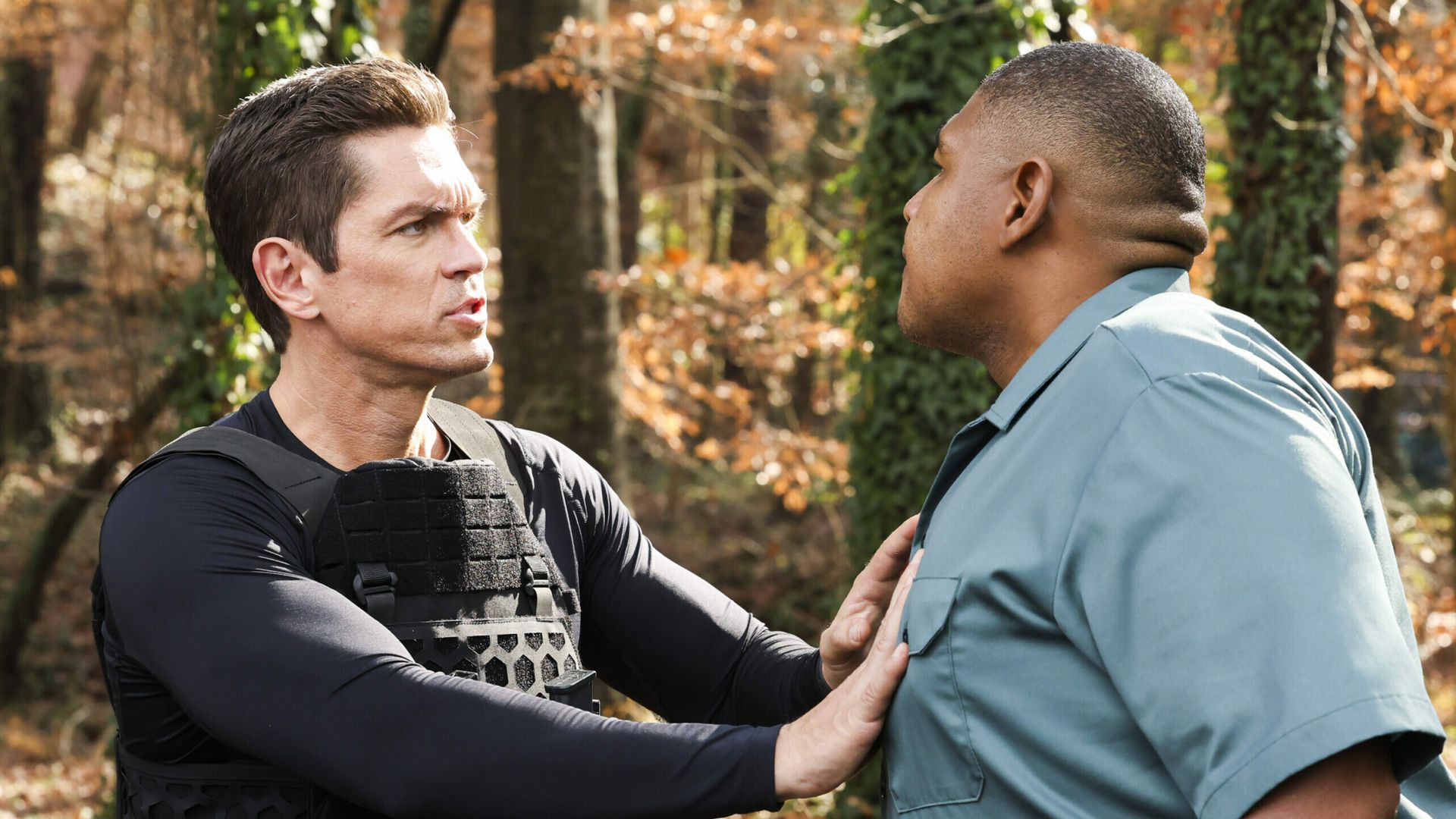 True Lies background