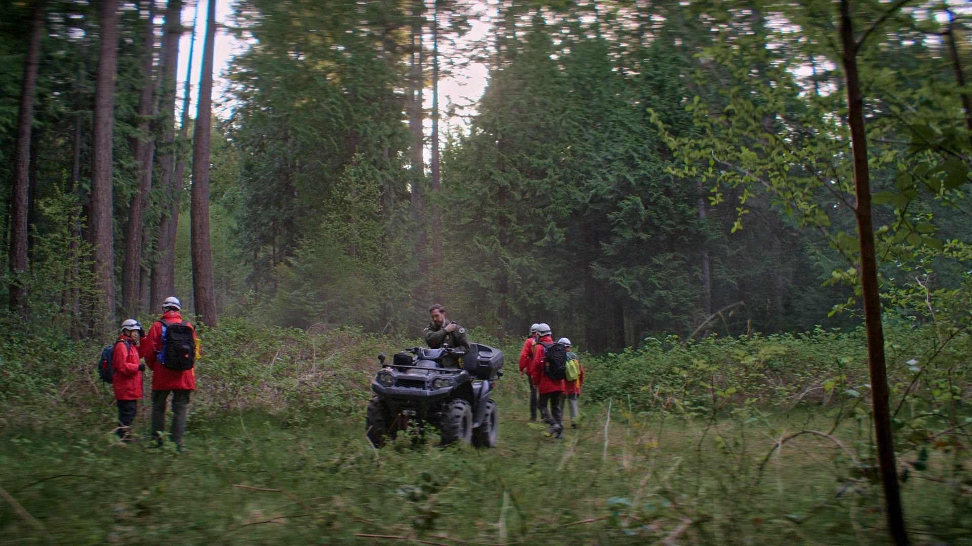 Murder in a Small Town background