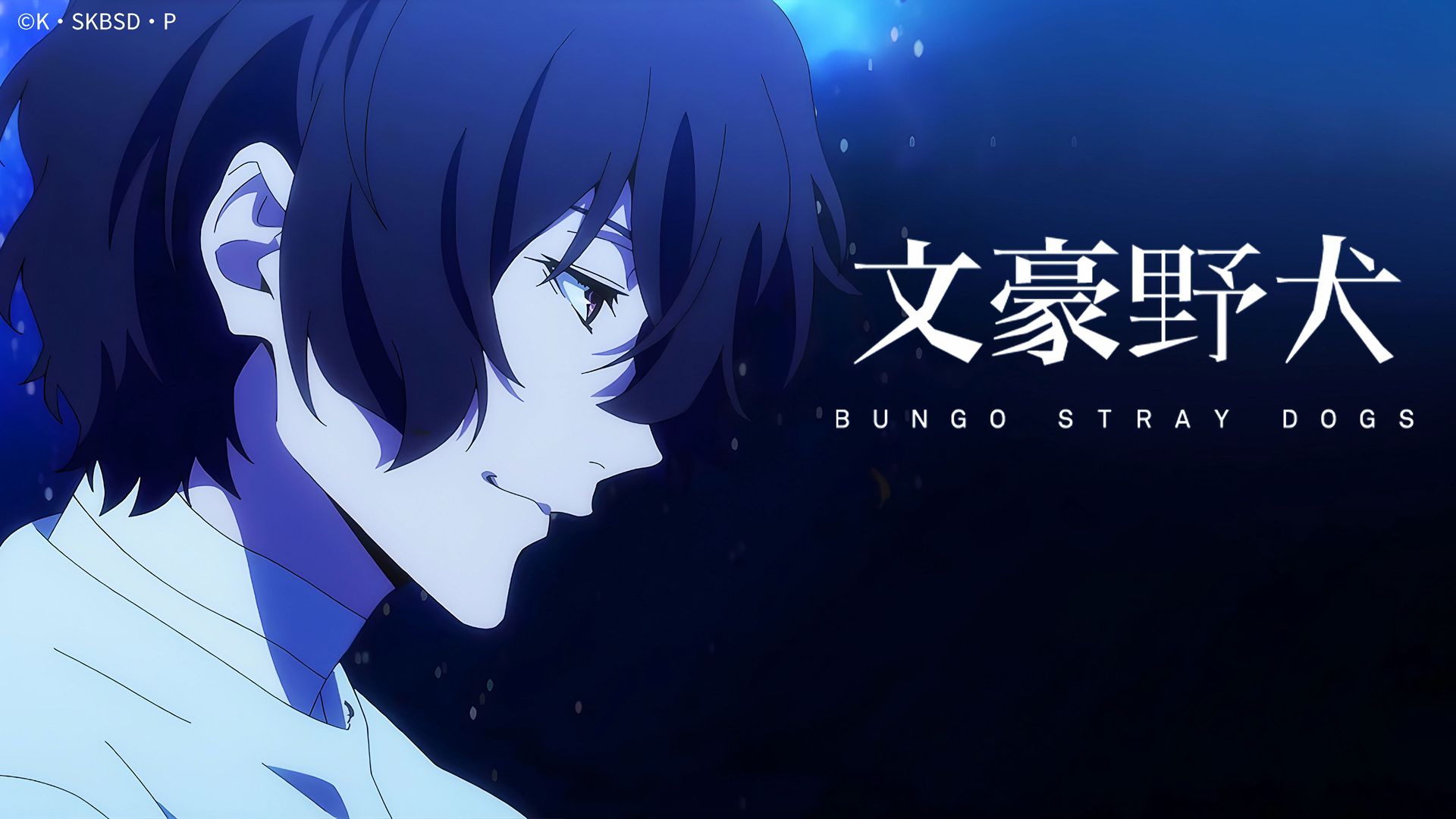 Bungo Stray Dogs background