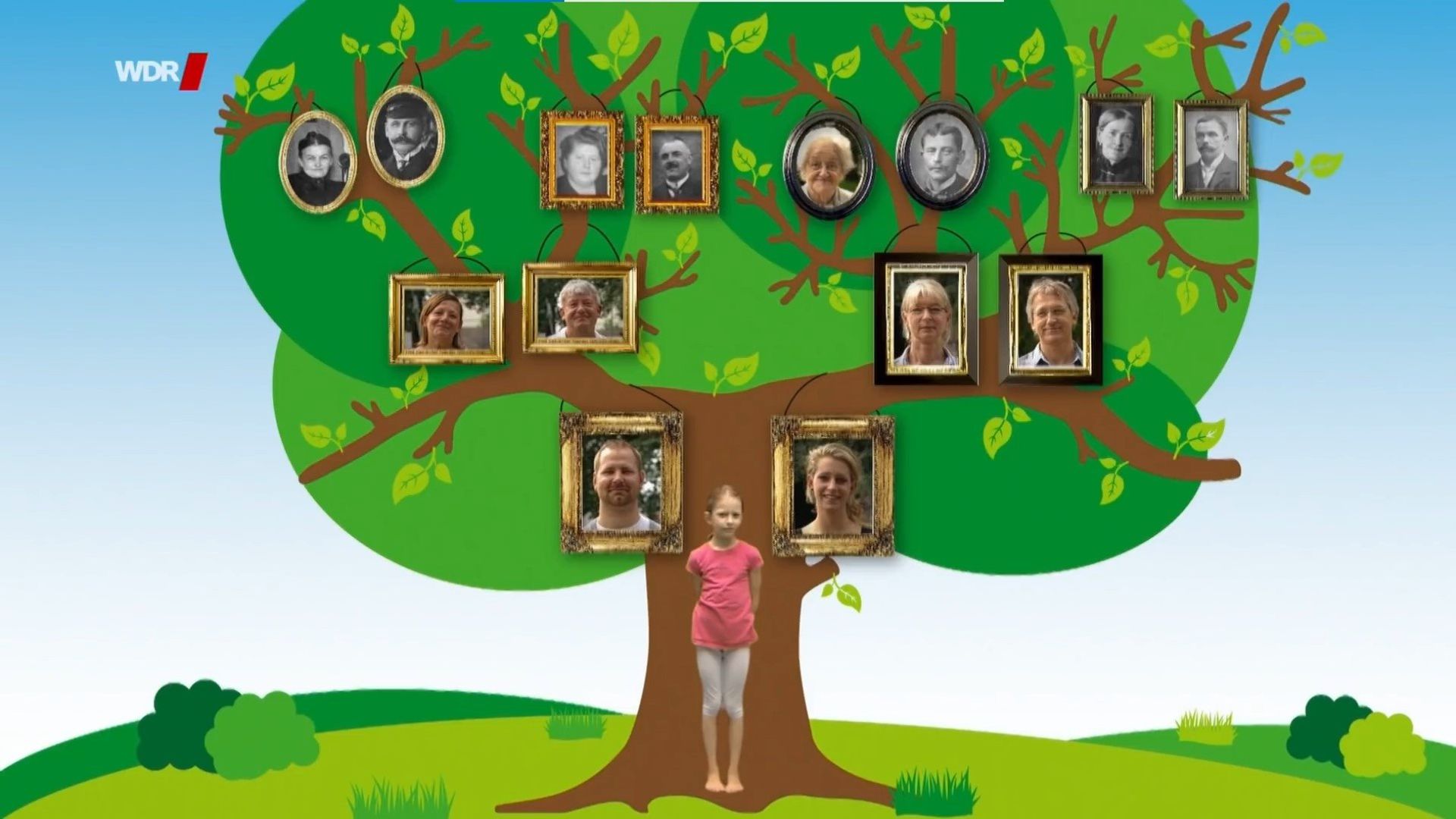 Die Sendung mit dem Elefanten background