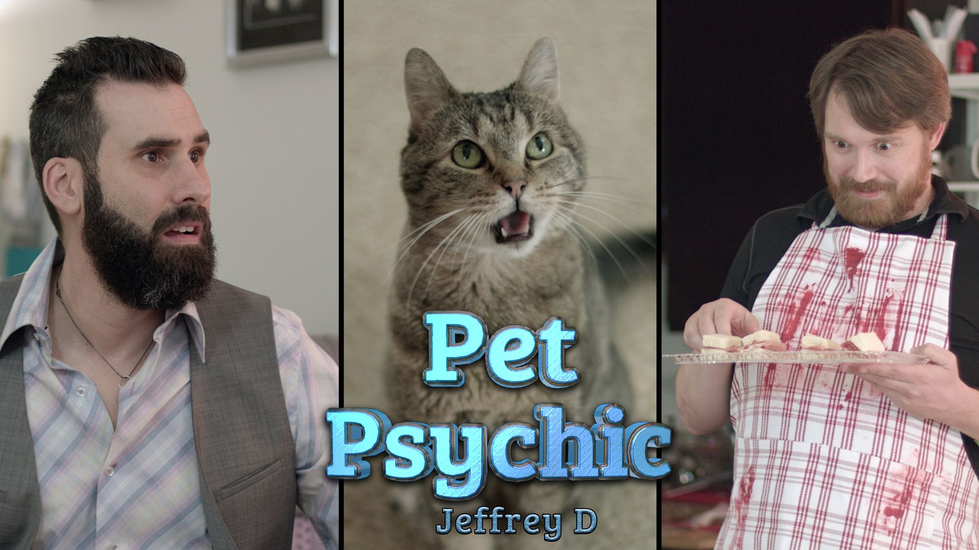The Pet Psychic background