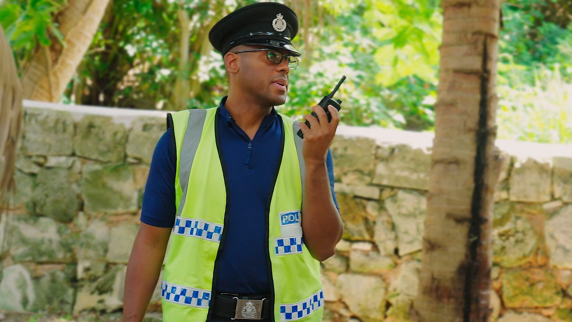 Policing Paradise background