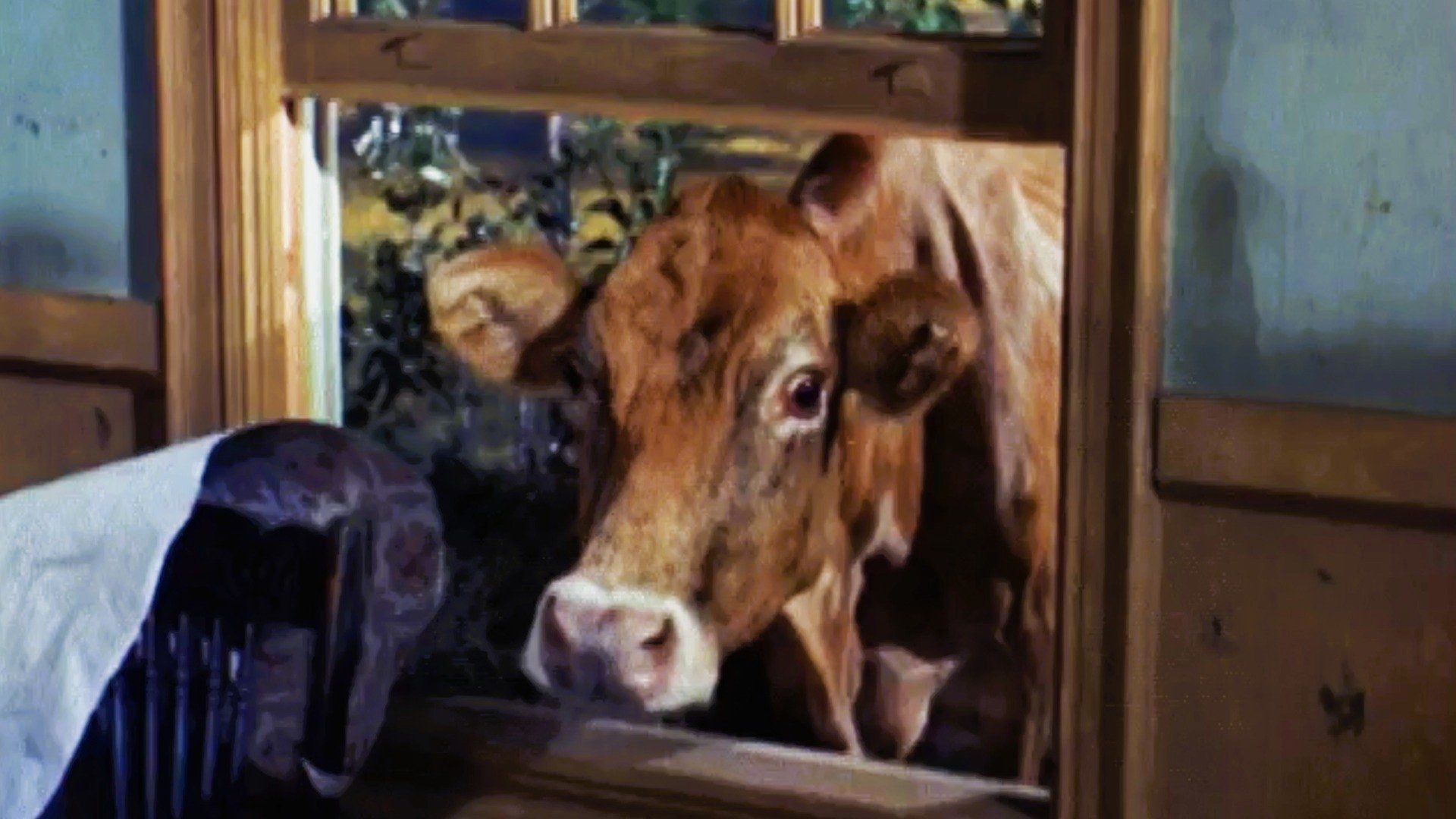Green Acres background