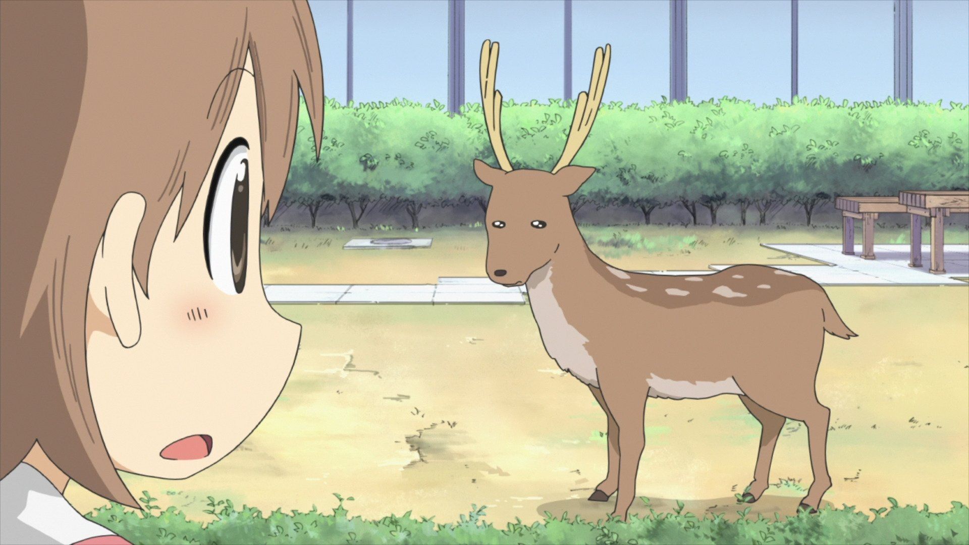 Nichijou: My Ordinary Life background