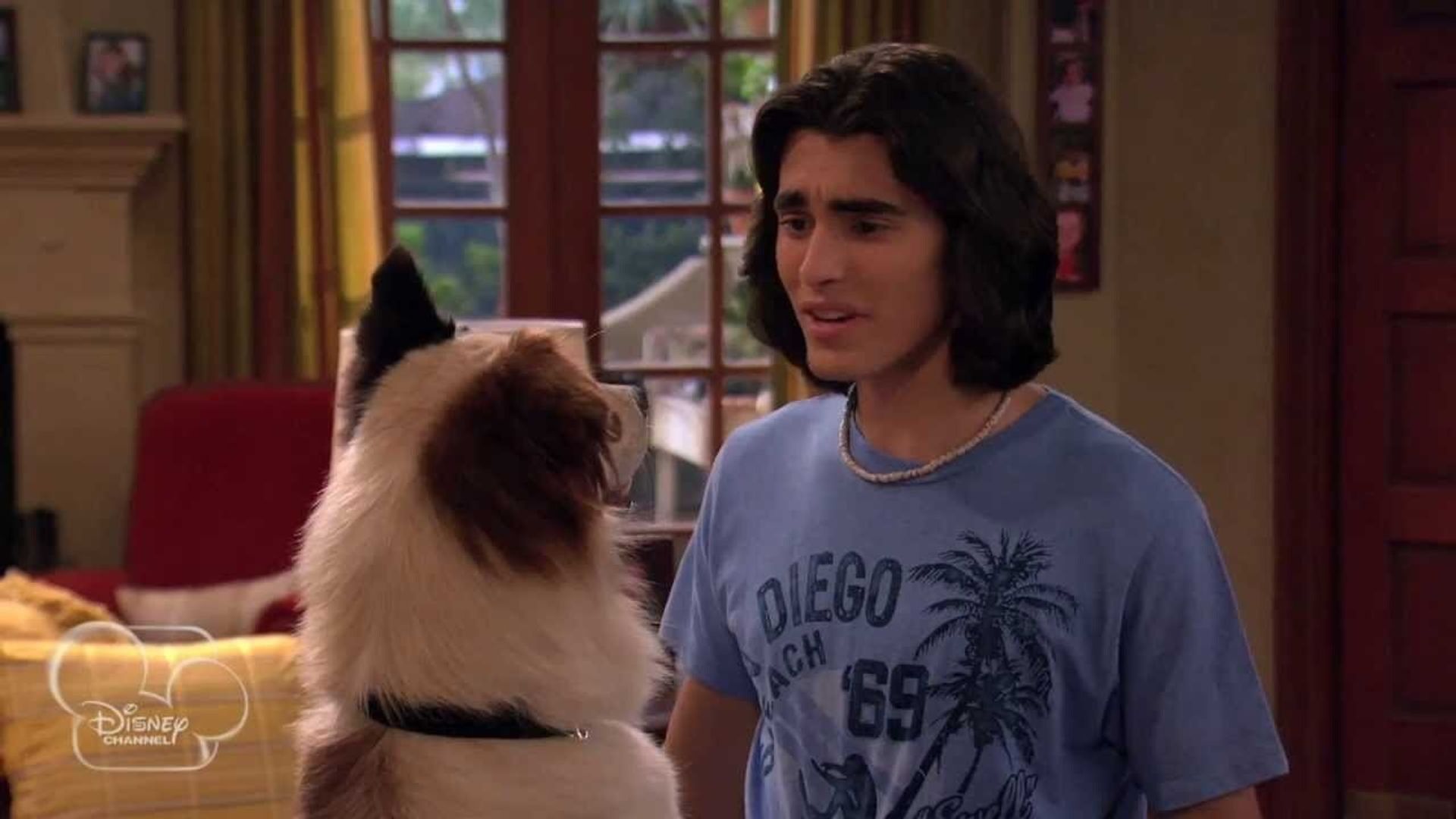 Dog with a Blog background