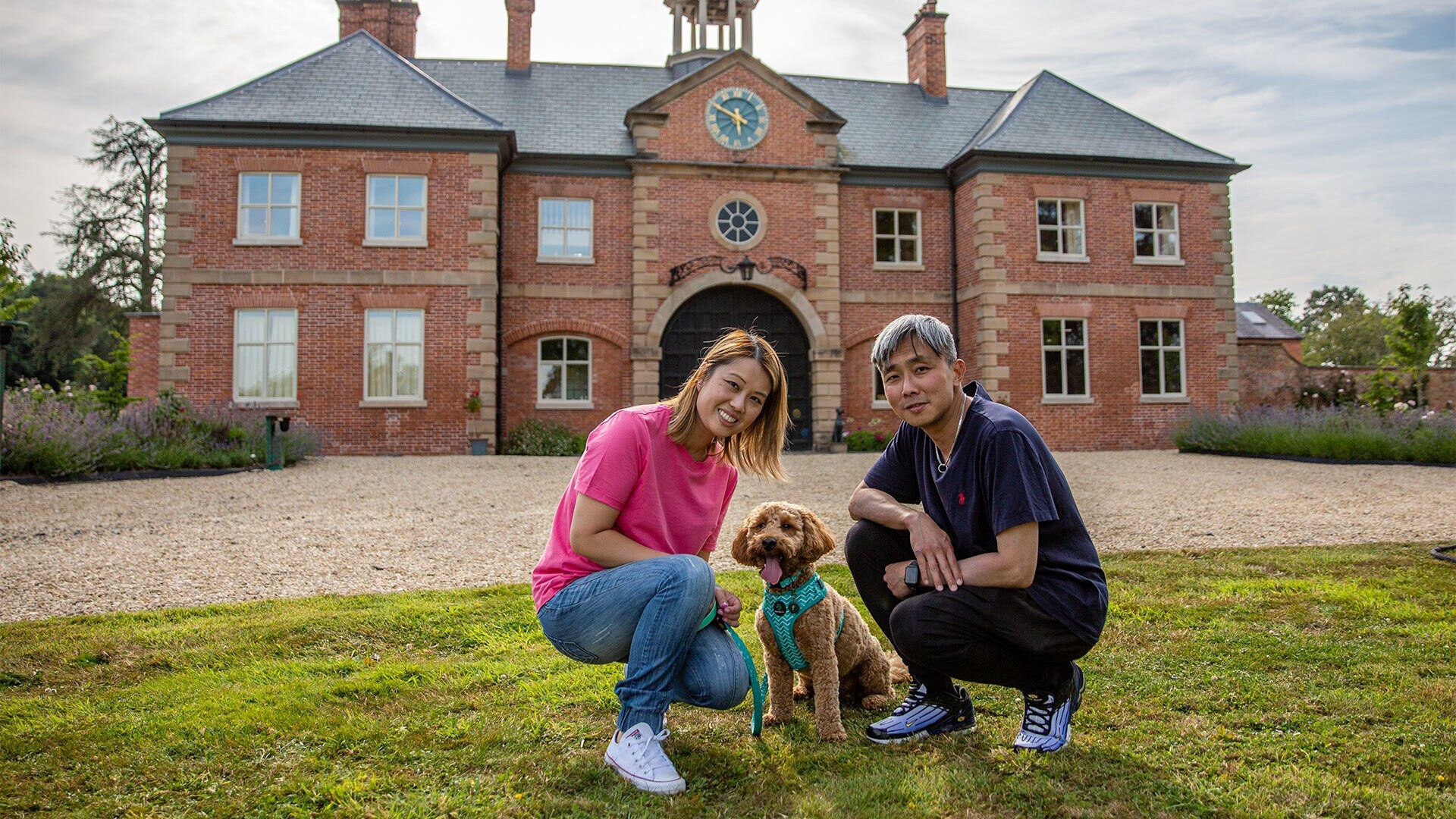 The Dog Academy background