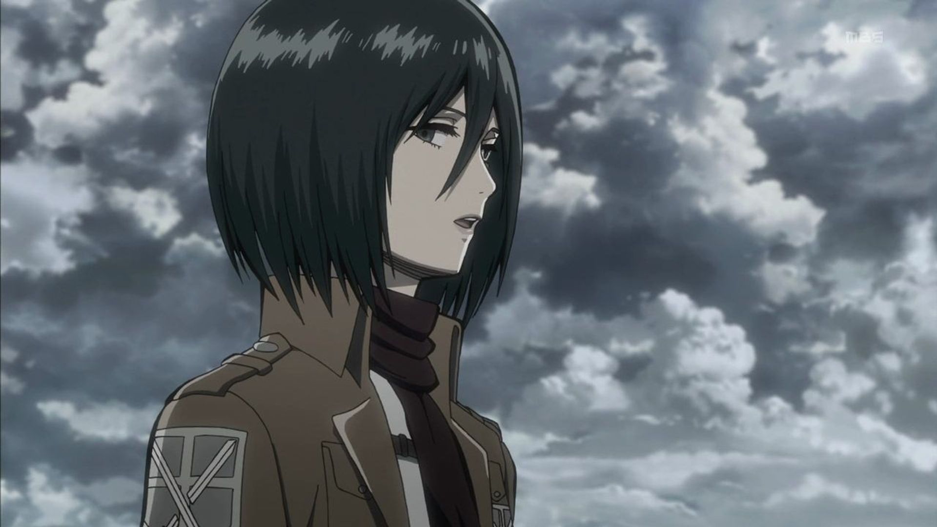 Attack on Titan background