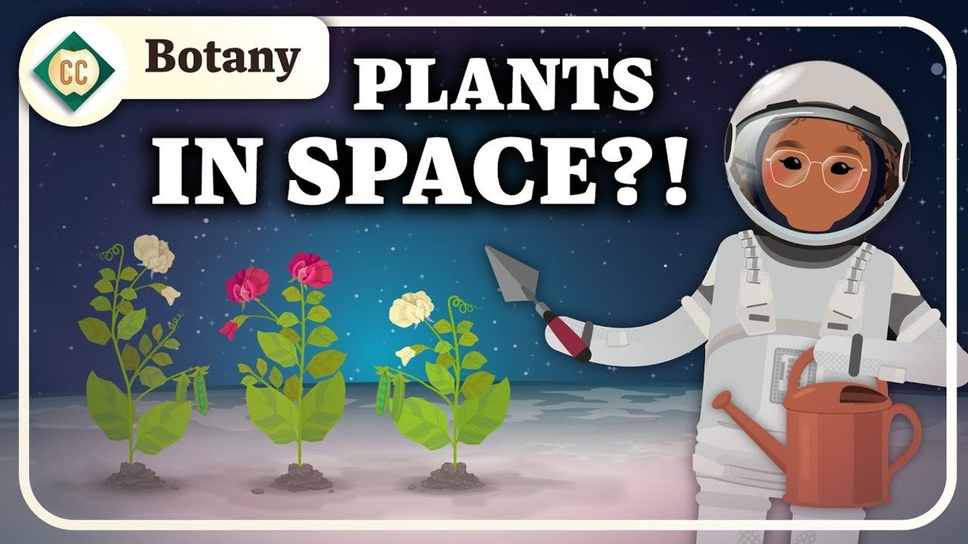 Crash Course: Botany background