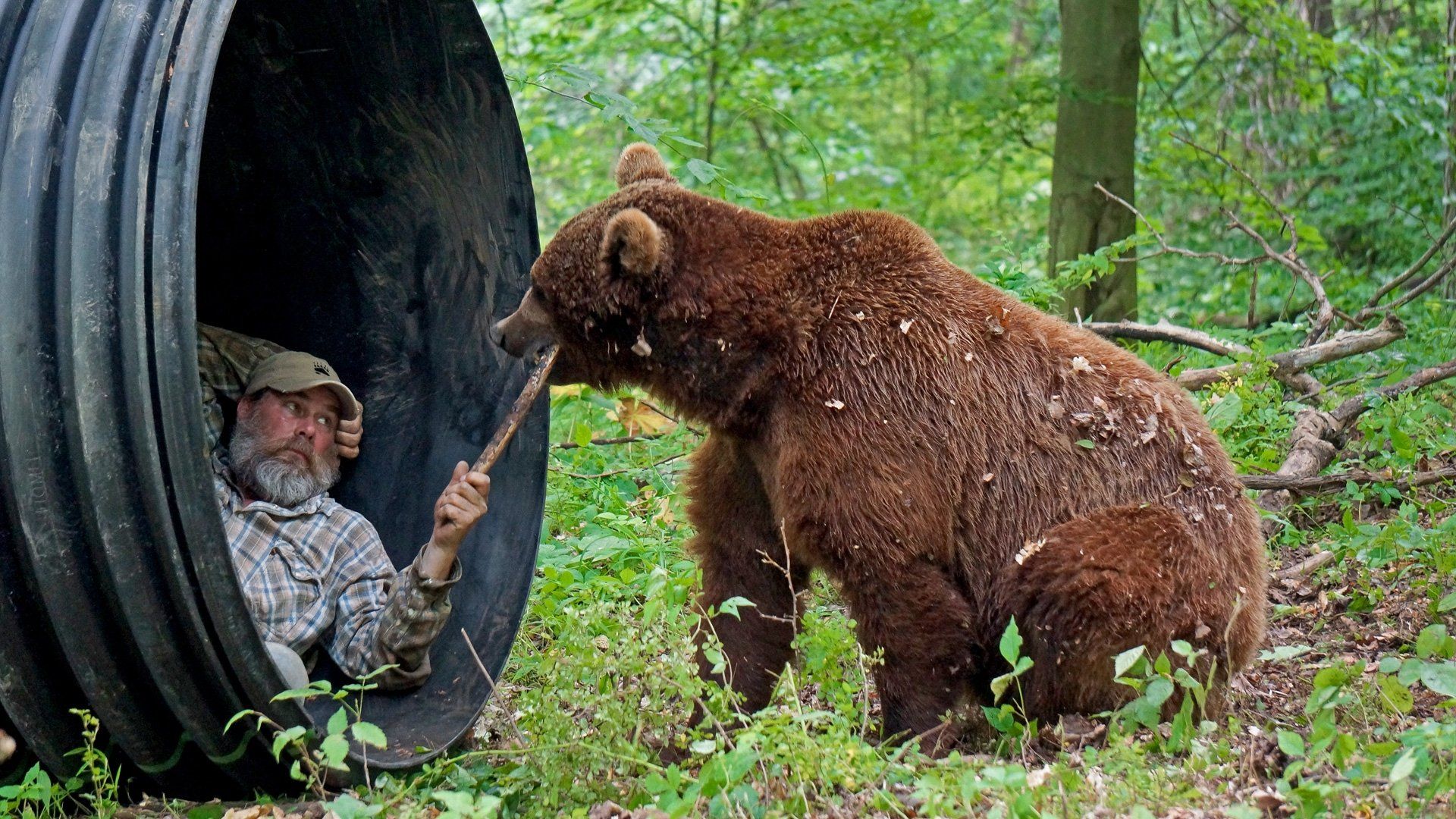 Project Grizzly background