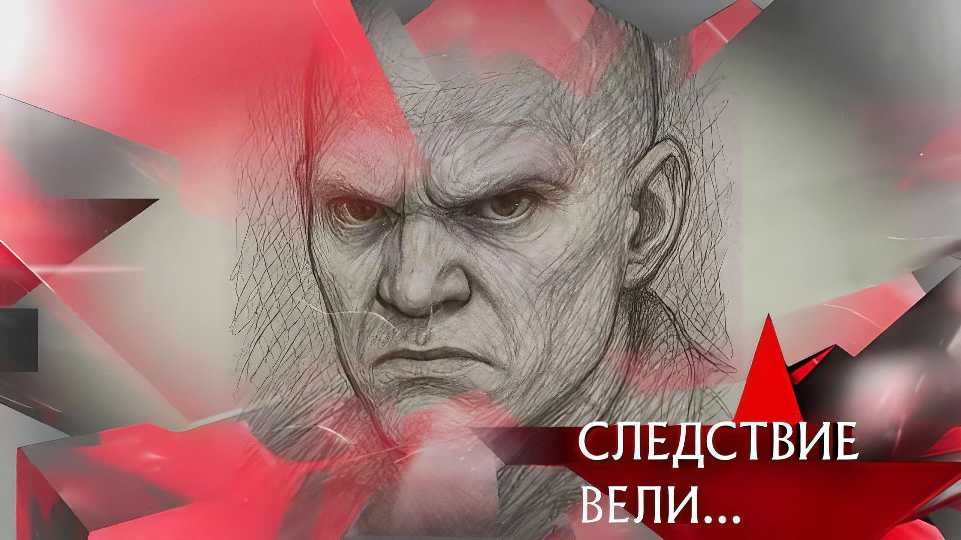 The Investigation Led By background