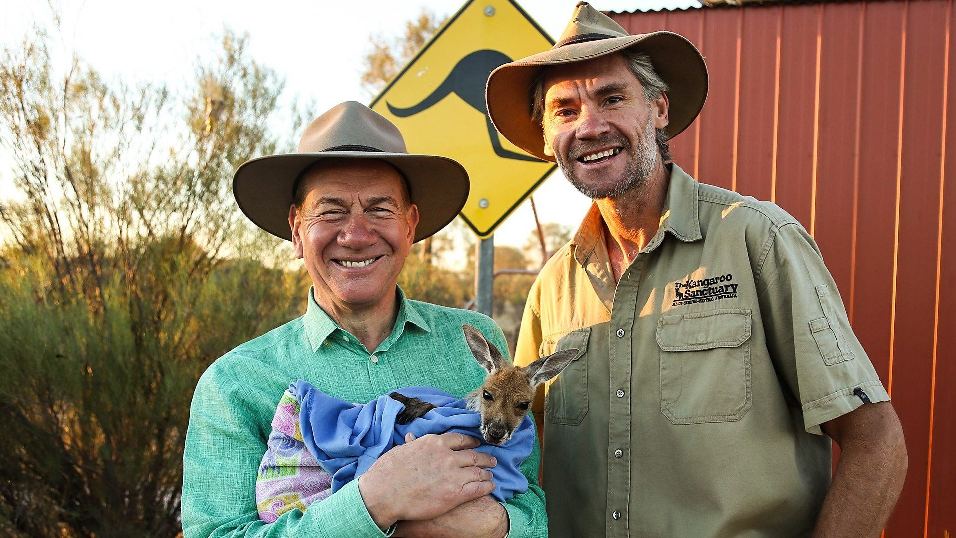 Great Australian Railway Journeys background