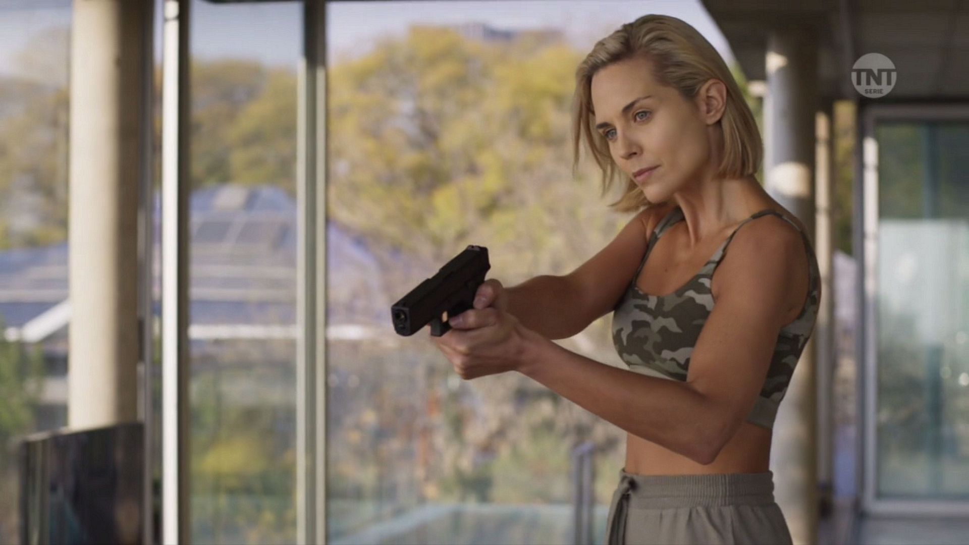 Professionals background