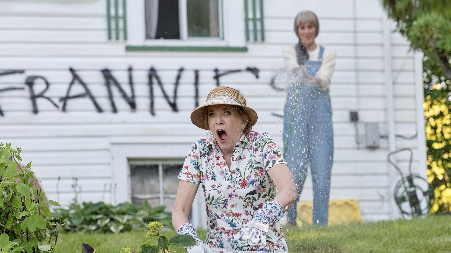 The Chicken Sisters background