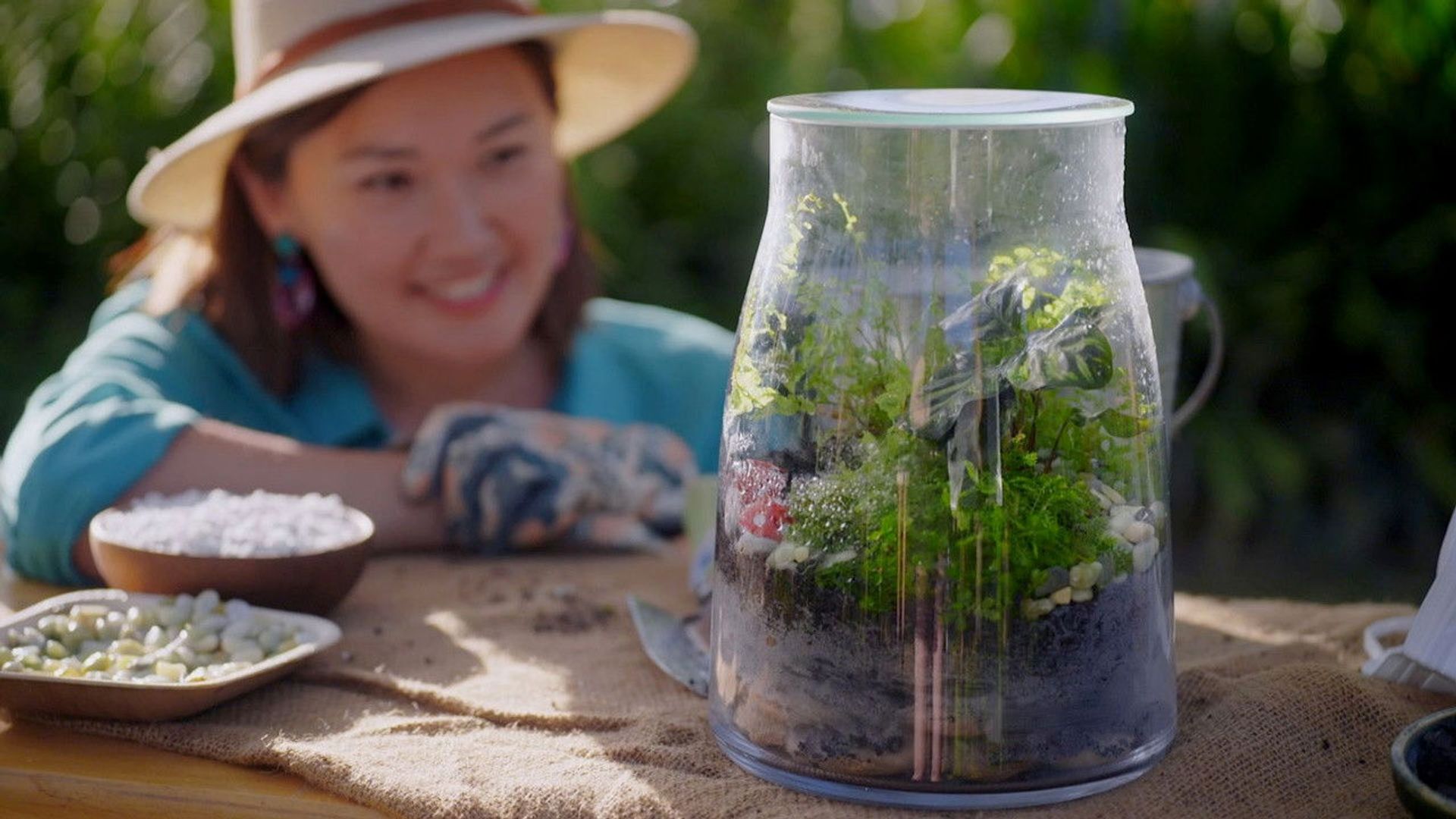 Gardening Australia Junior background