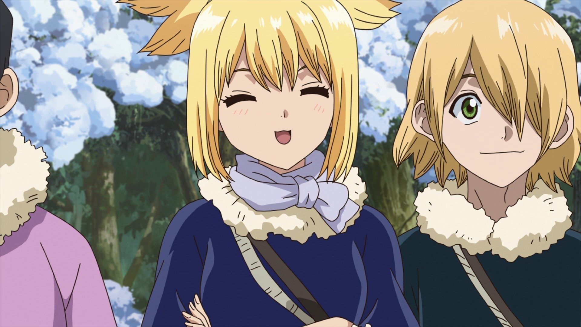 Dr. Stone background