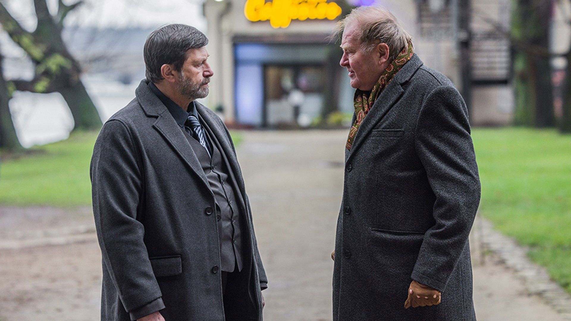 Specialisté background