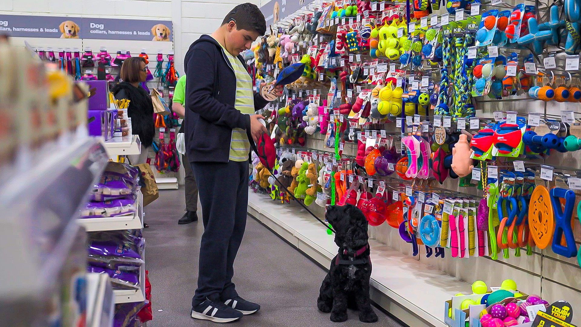 Dog Squad background