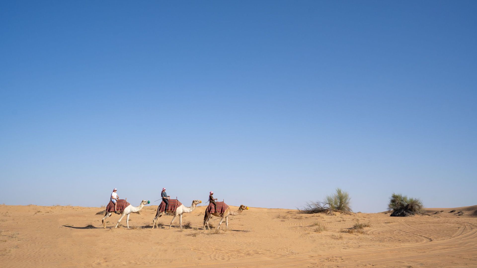 Fantastic Friends background