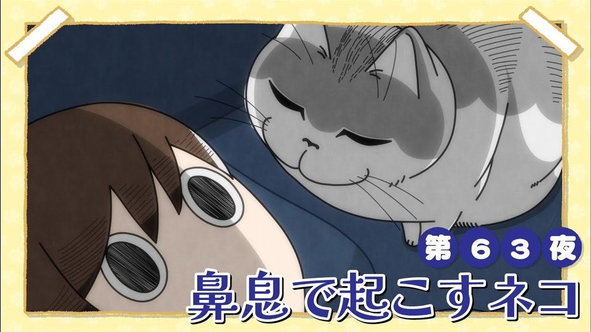 Yoru wa Neko to Issho background