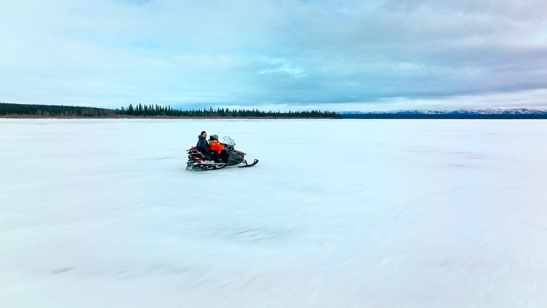 A Brief History of the Future background