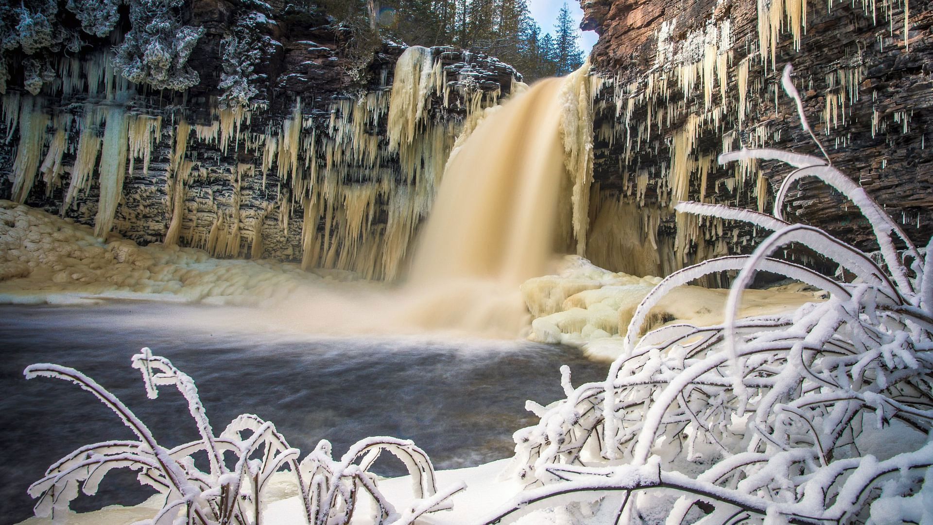 Great Lakes Untamed background