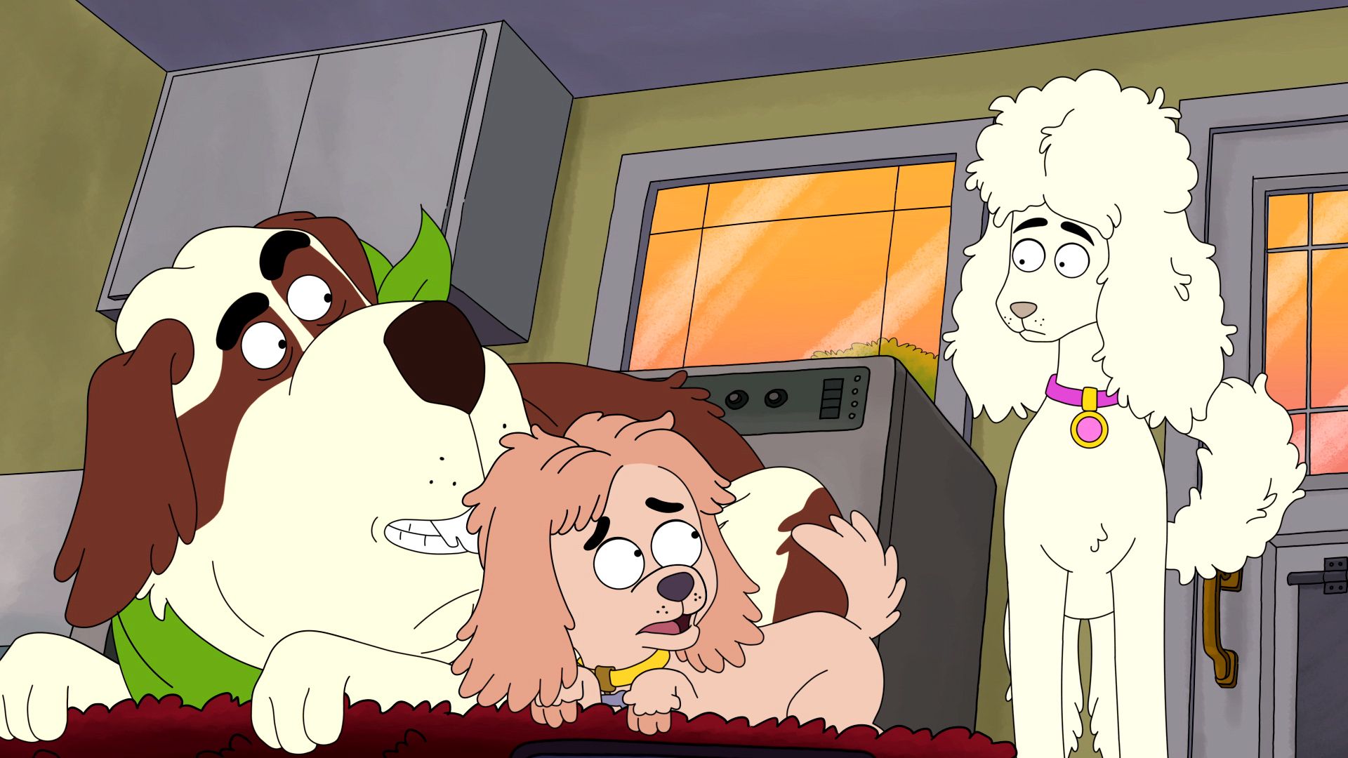 HouseBroken background