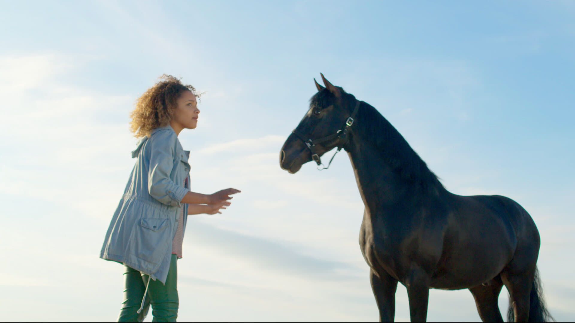 Free Rein background