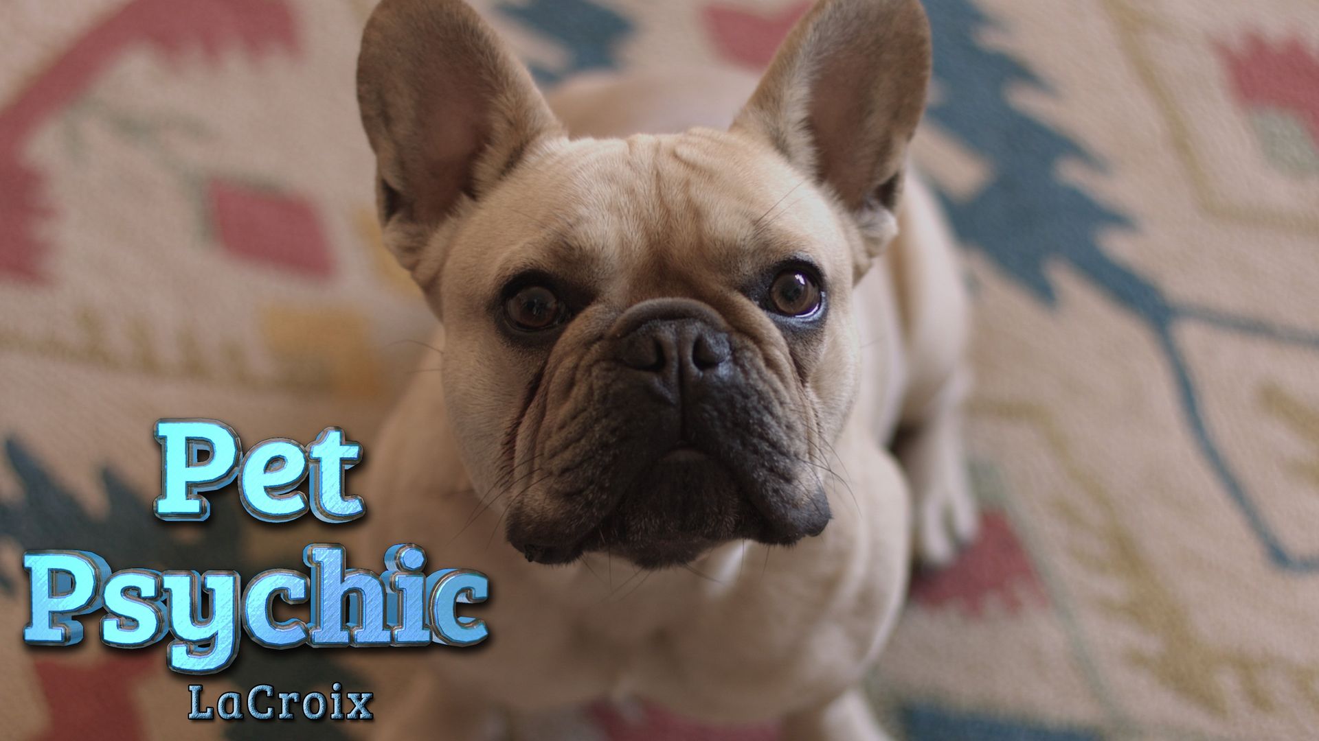 The Pet Psychic background