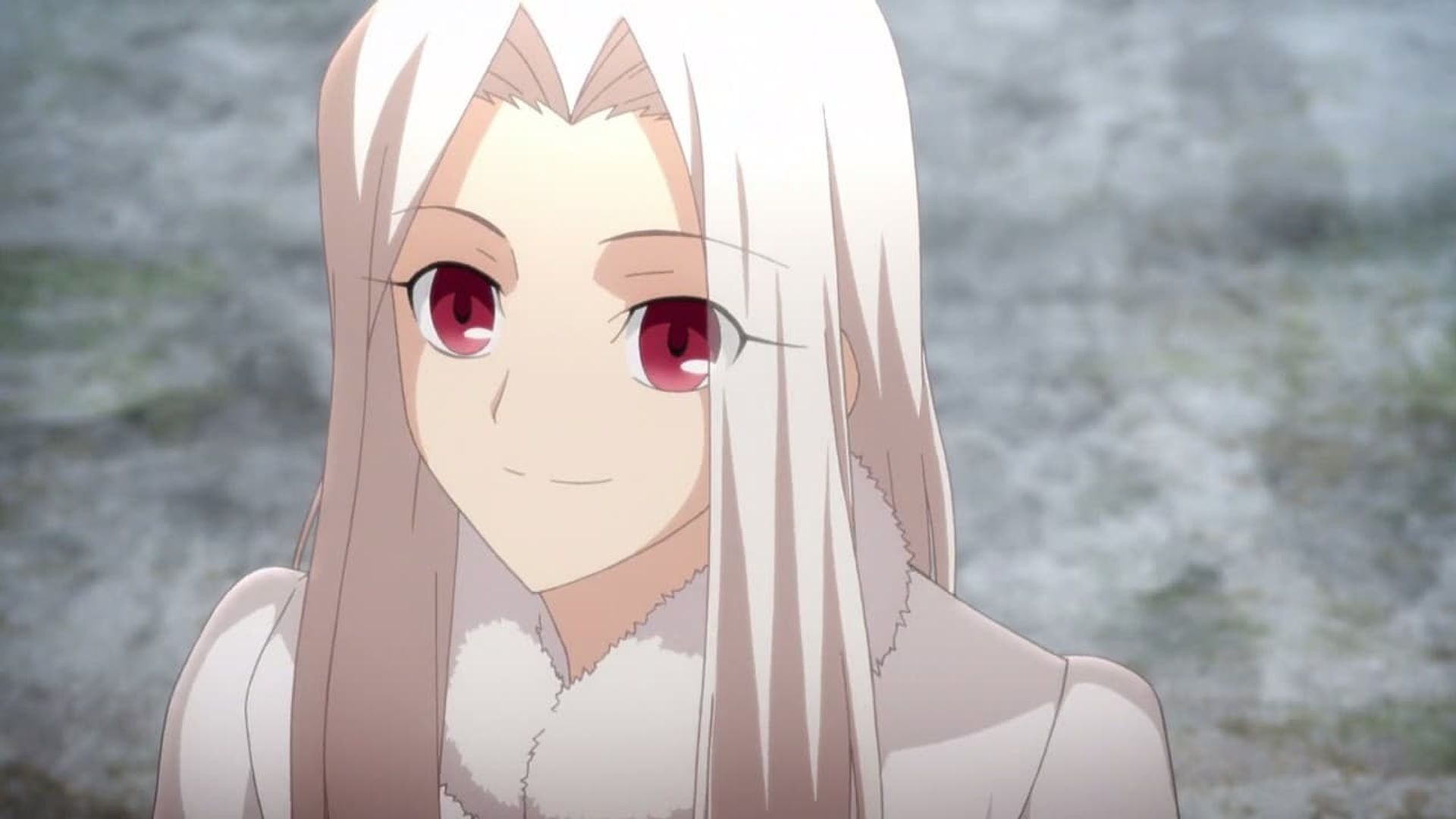 Fate/Zero background